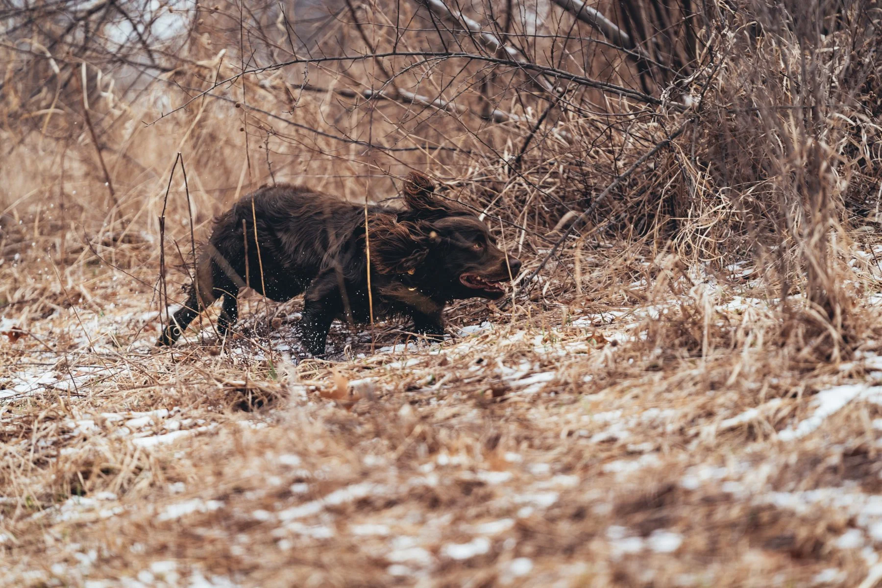 Pfeifer Proofs-45.jpg