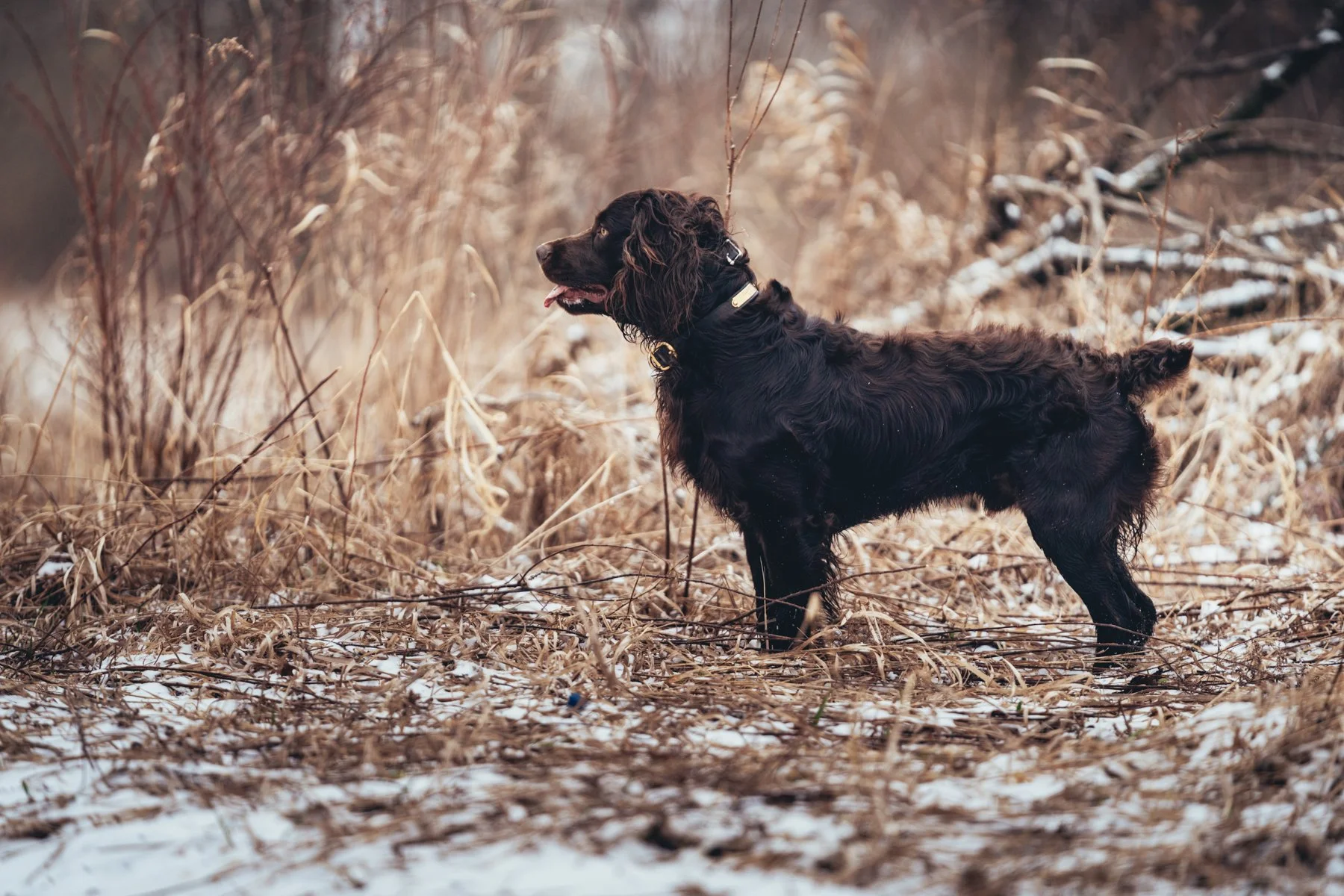 Pfeifer Proofs-28.jpg