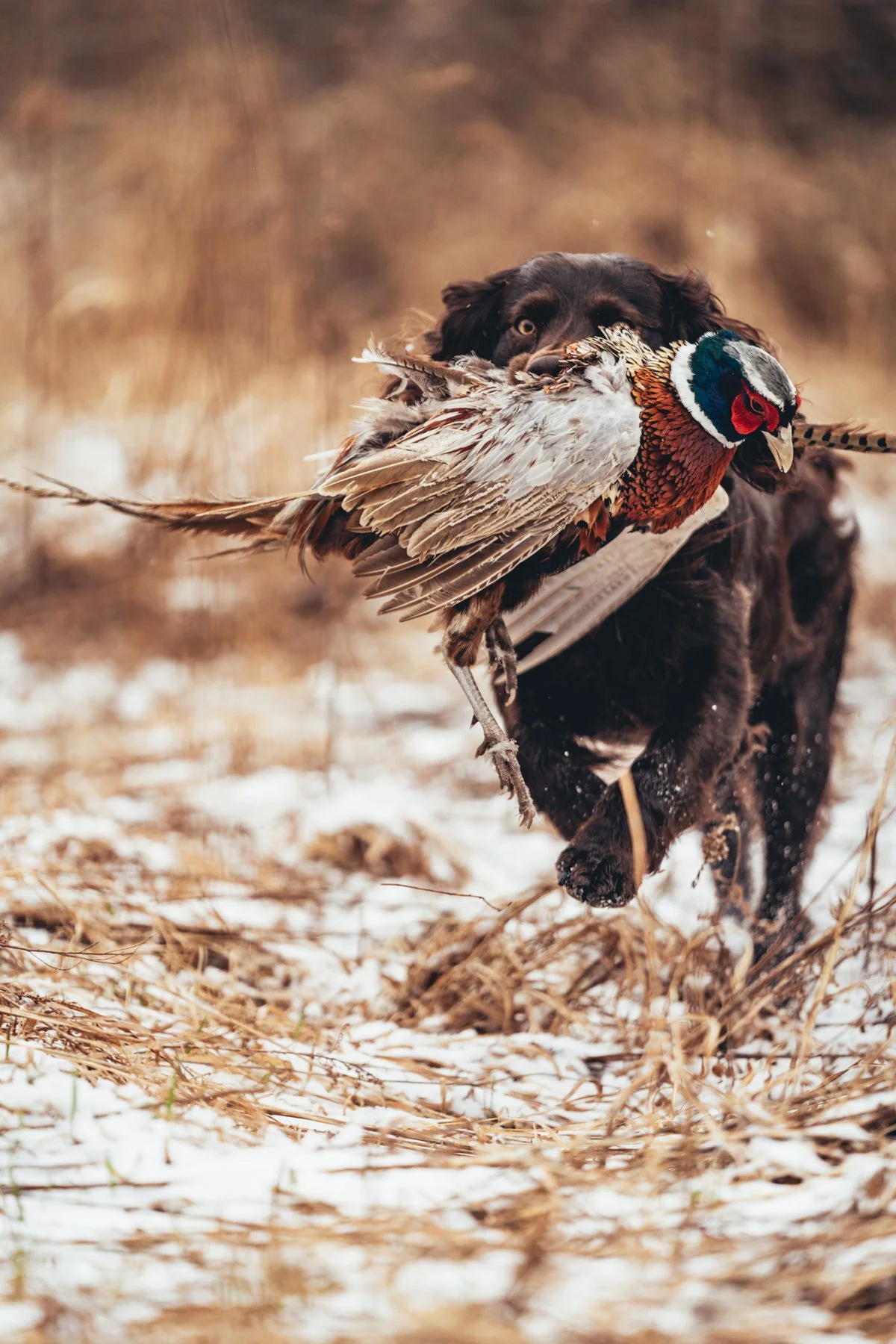 Pfeifer Proofs-5.jpg