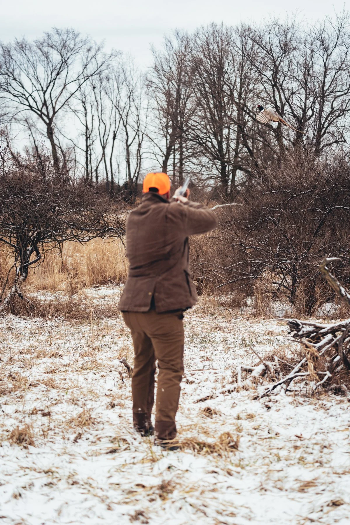 Pfeifer Proofs-9.jpg