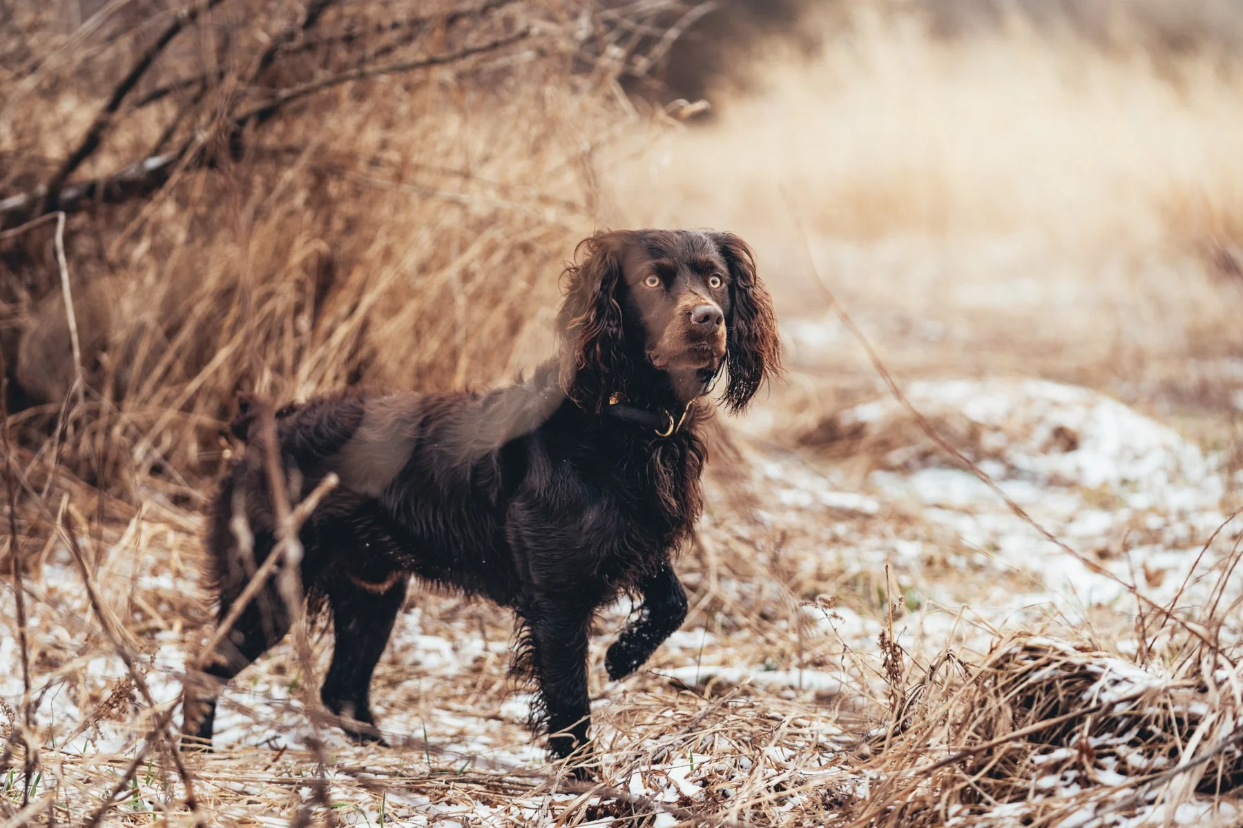 Pfeifer Proofs-33.jpg