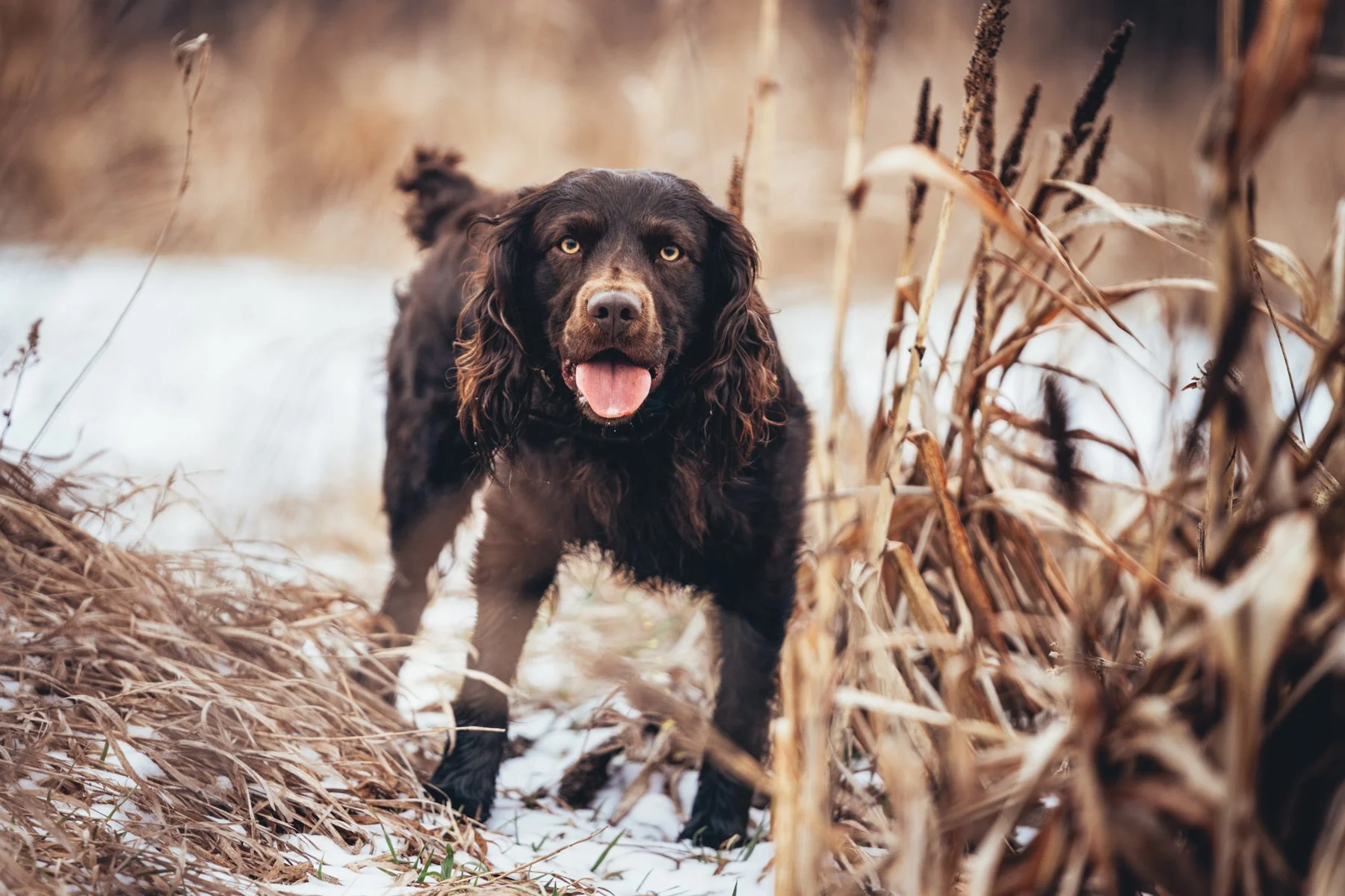 Pfeifer Proofs-47.jpg