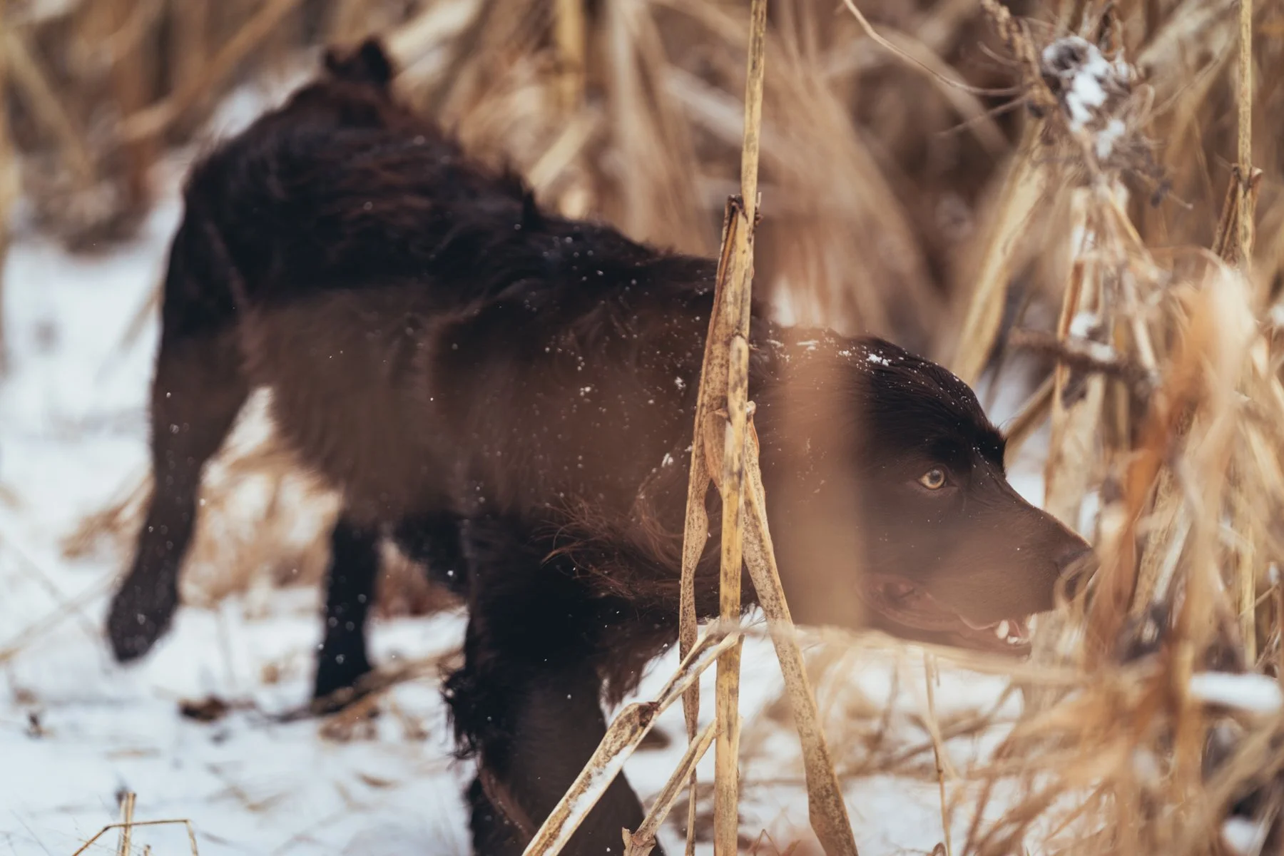 Pfeifer Proofs-25.jpg