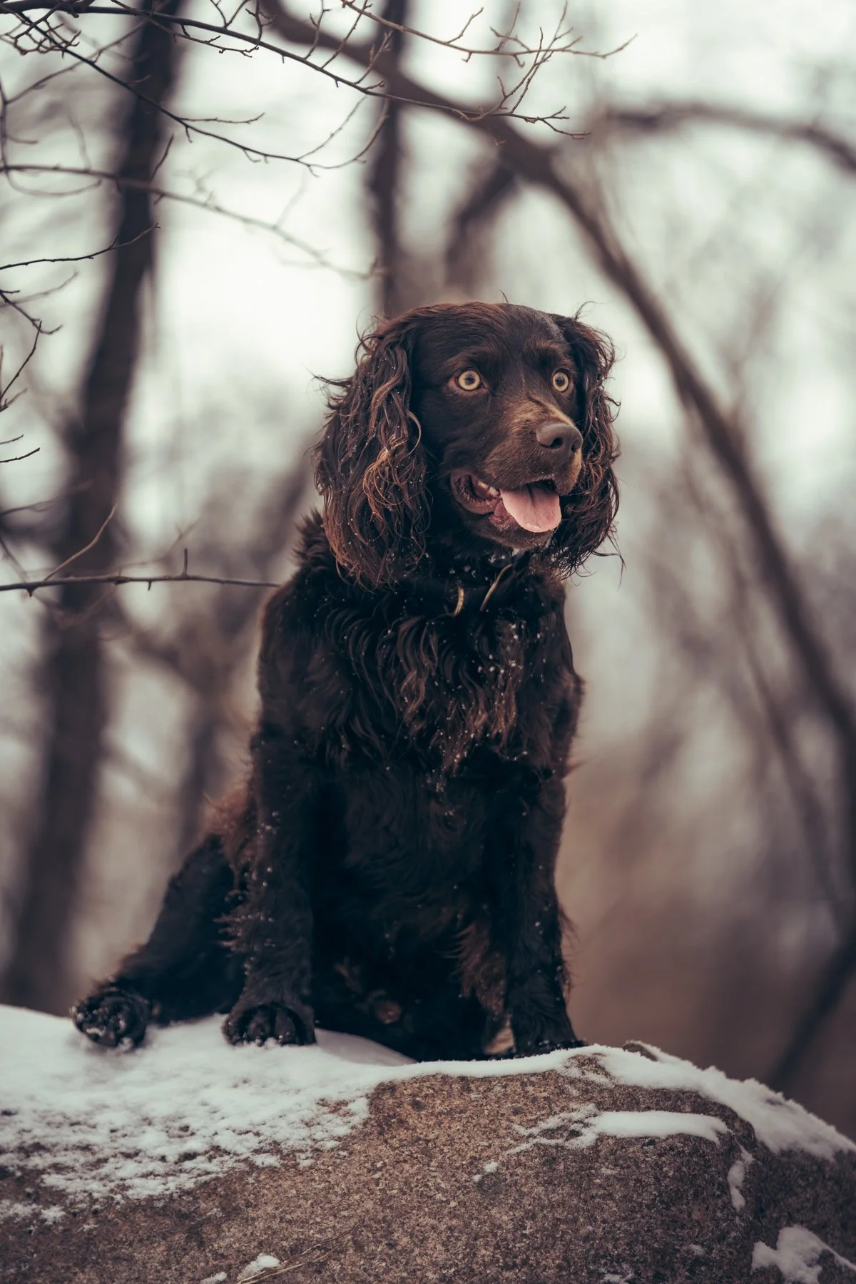 Pfeifer Proofs-20.jpg