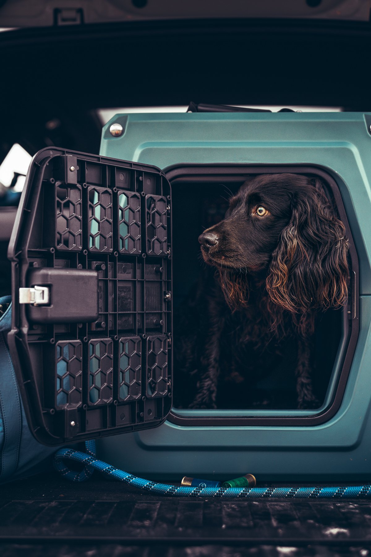 Pfeifer Proofs-57.jpg