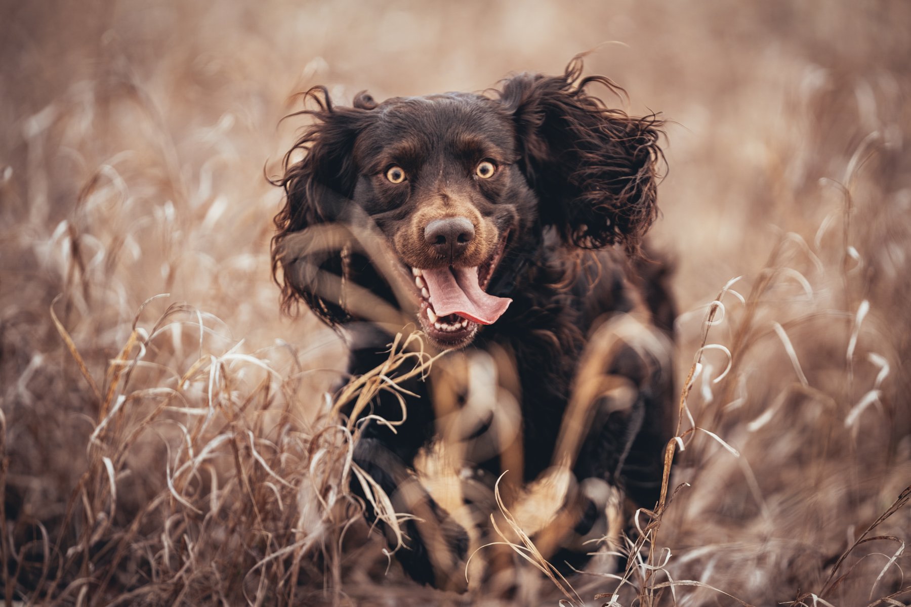 Pfeifer Proofs-48.jpg