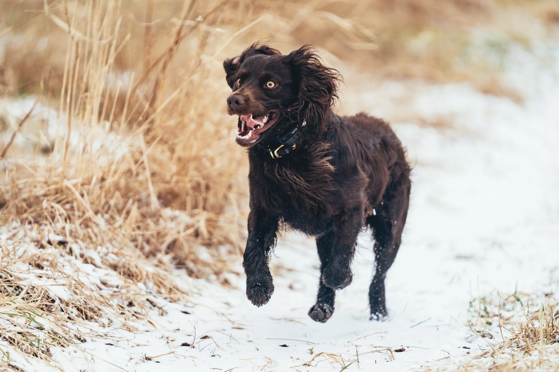 Pfeifer Proofs-27.jpg