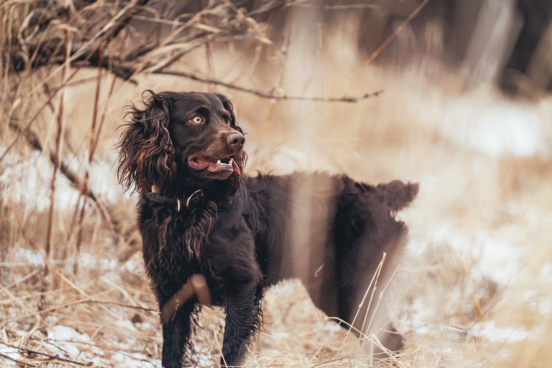 Pfeifer Proofs-37.jpg