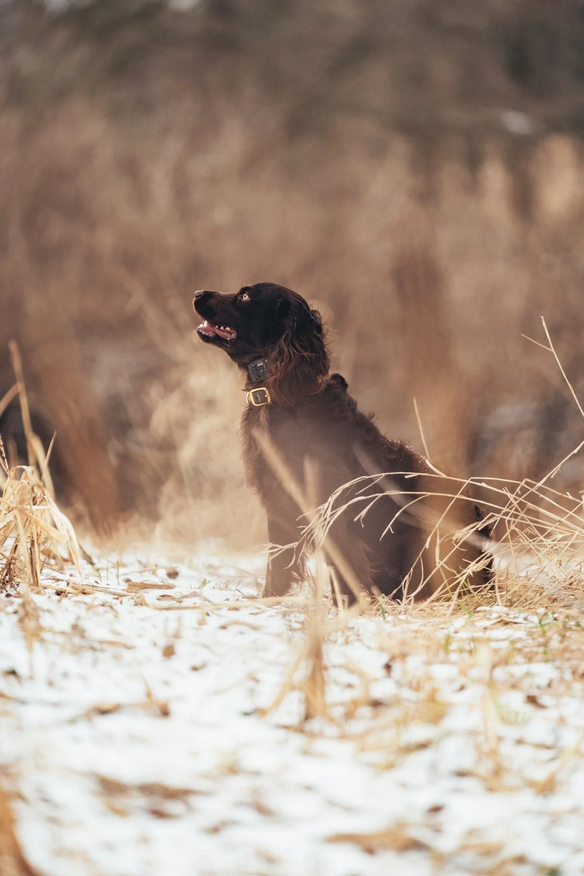 Pfeifer Proofs-3.jpg