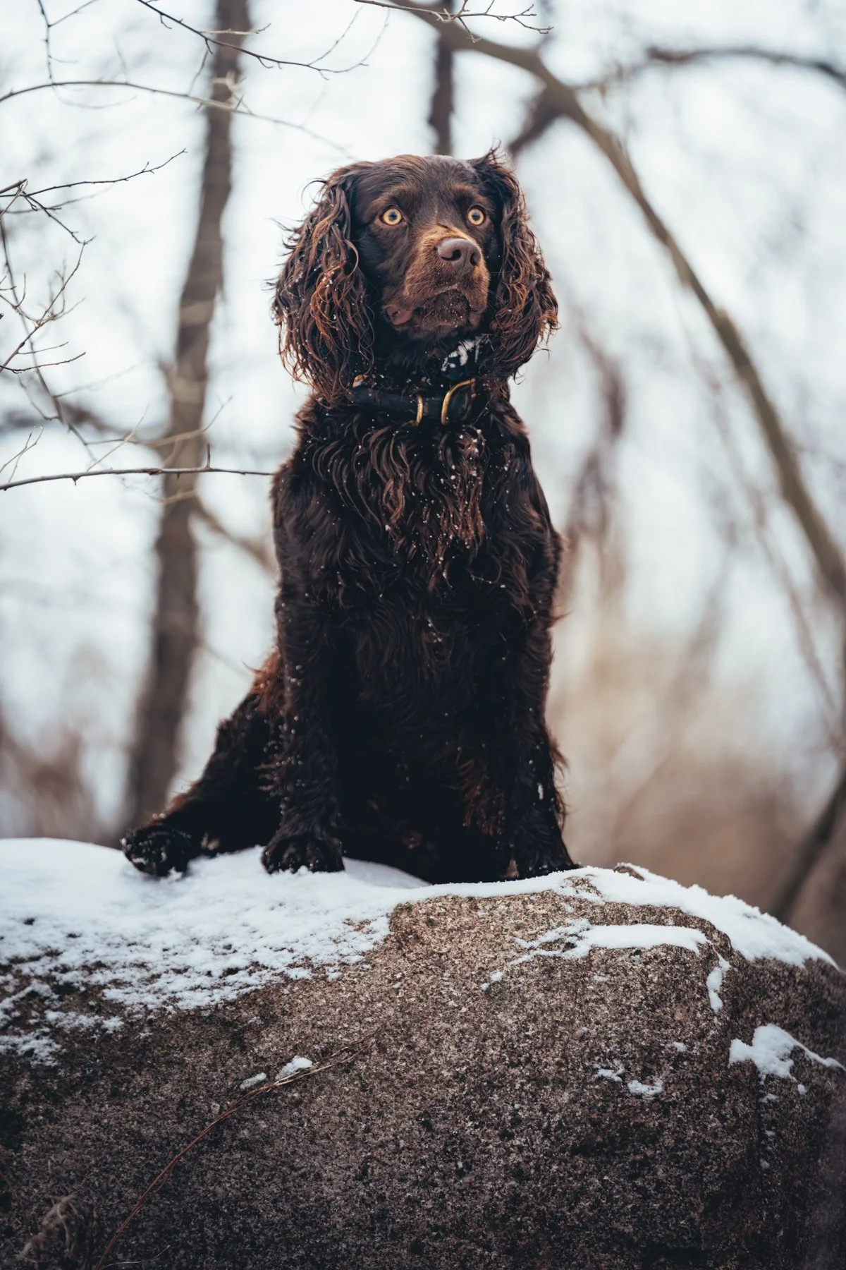 Pfeifer Proofs-21.jpg