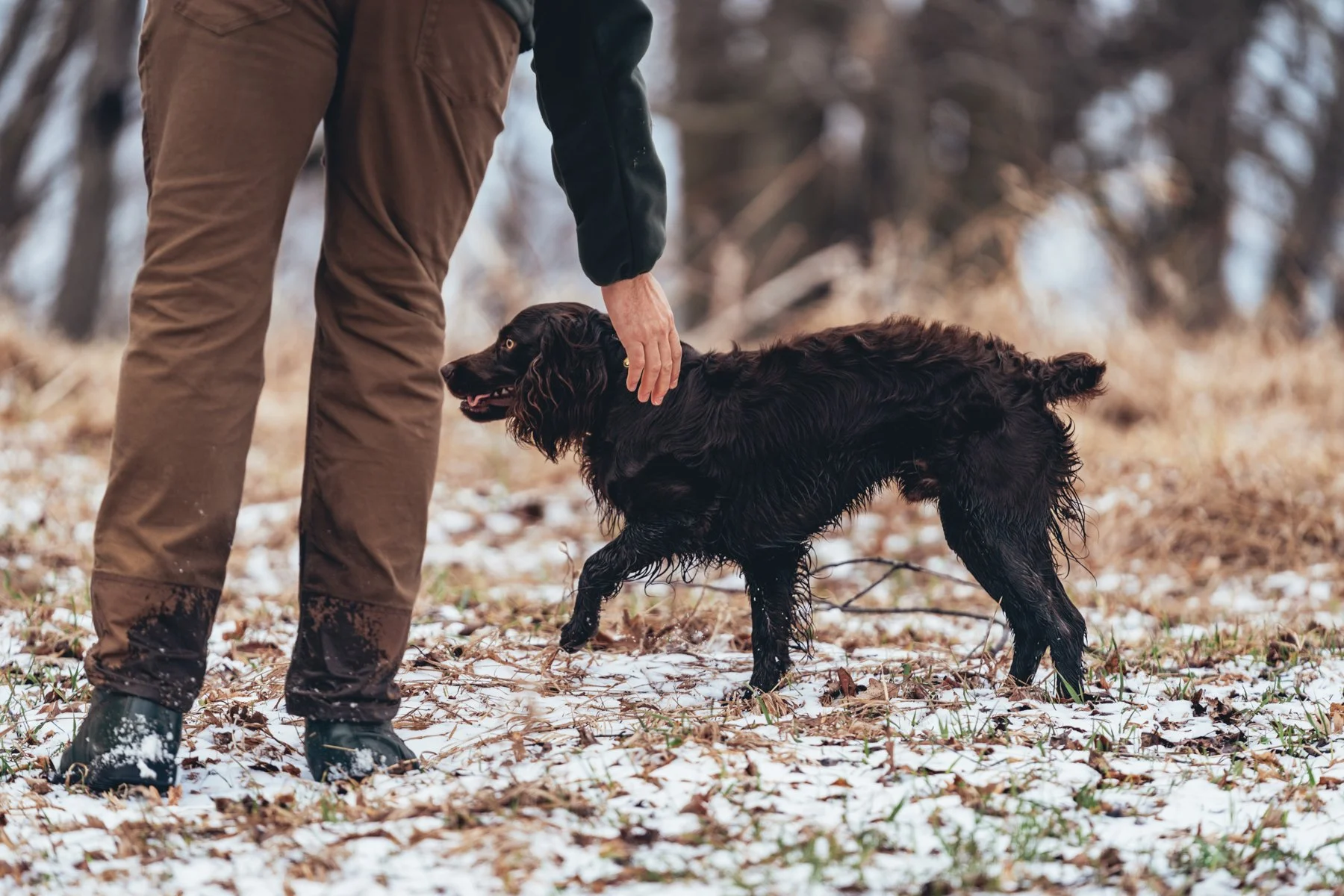 Pfeifer Proofs-50.jpg