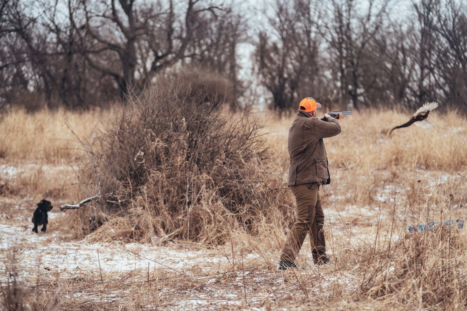 Pfeifer Proofs-30.jpg