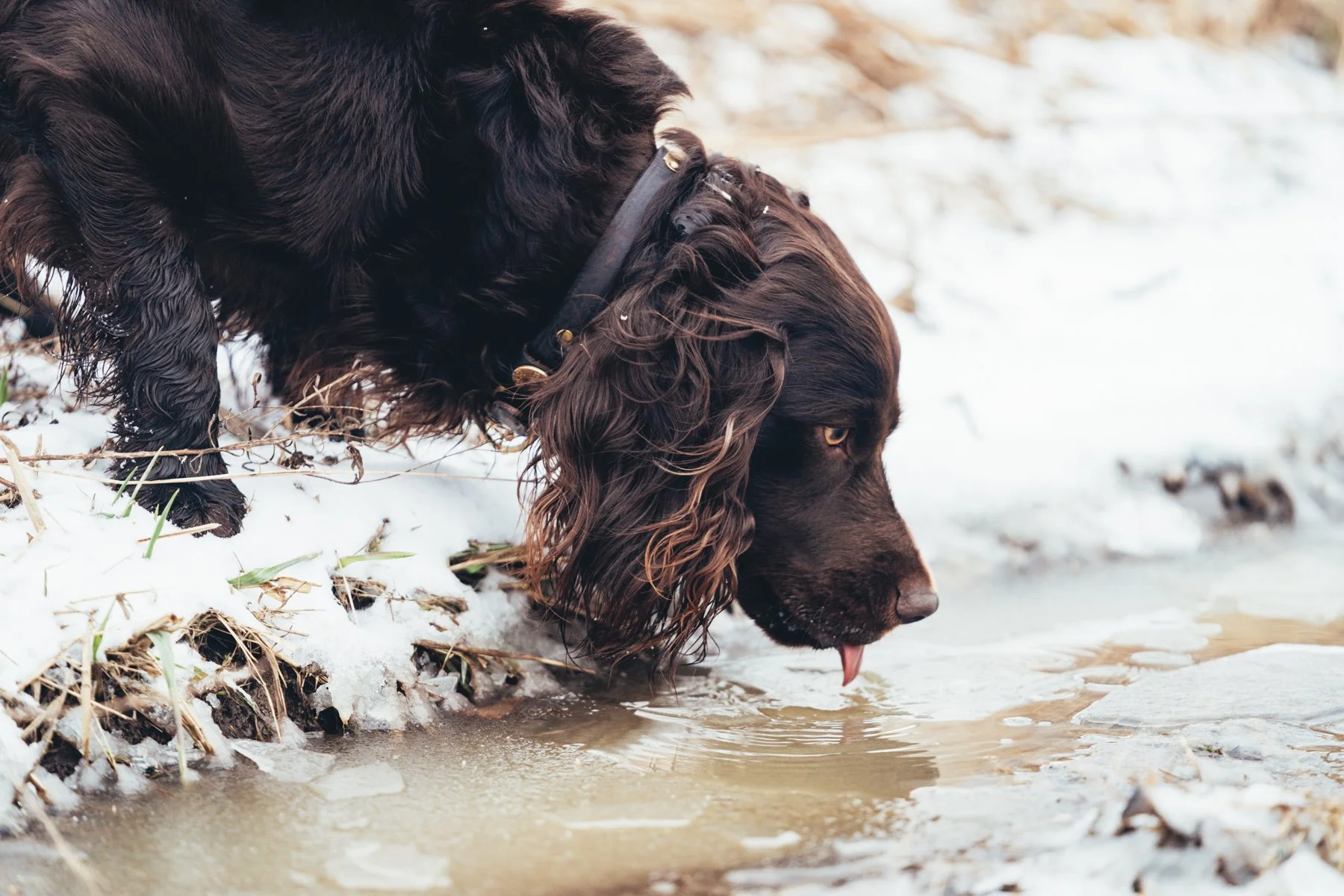 Pfeifer Proofs-29.jpg