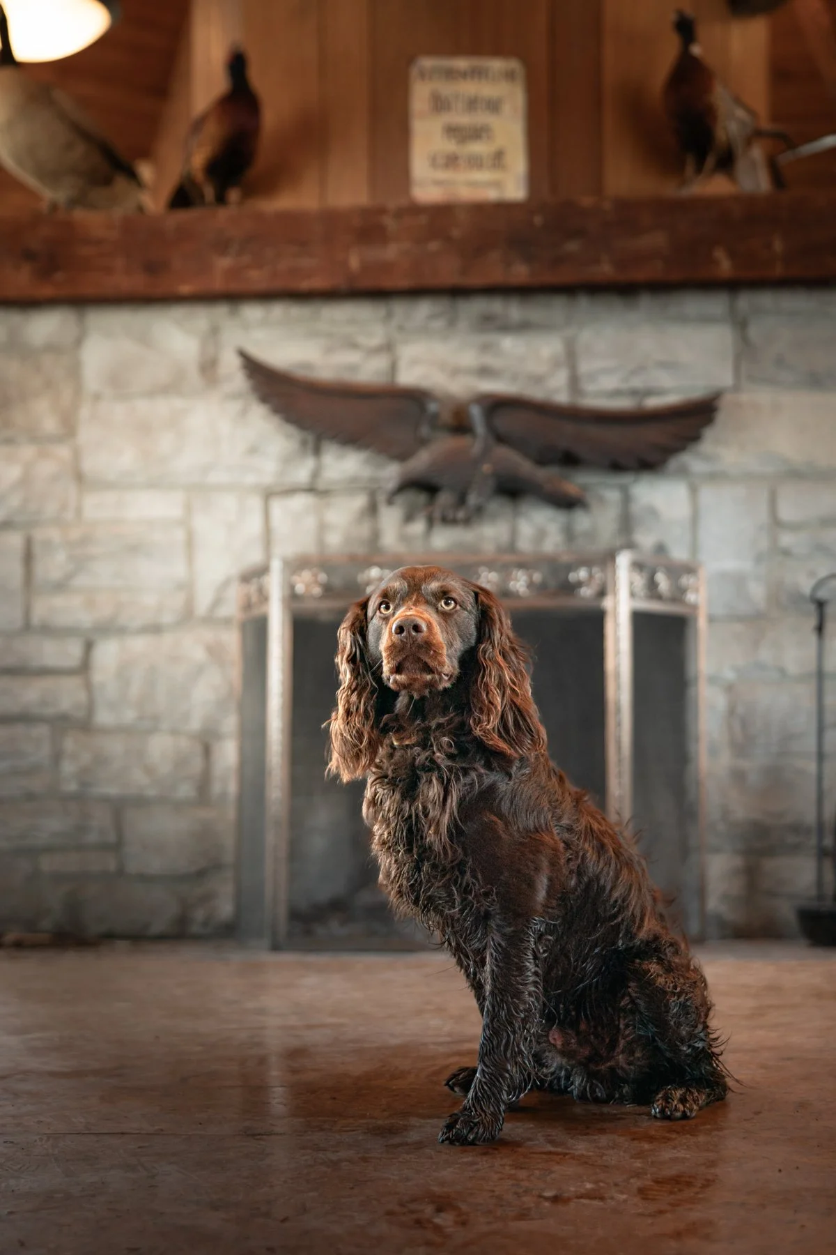 Pfeifer Proofs-60.jpg