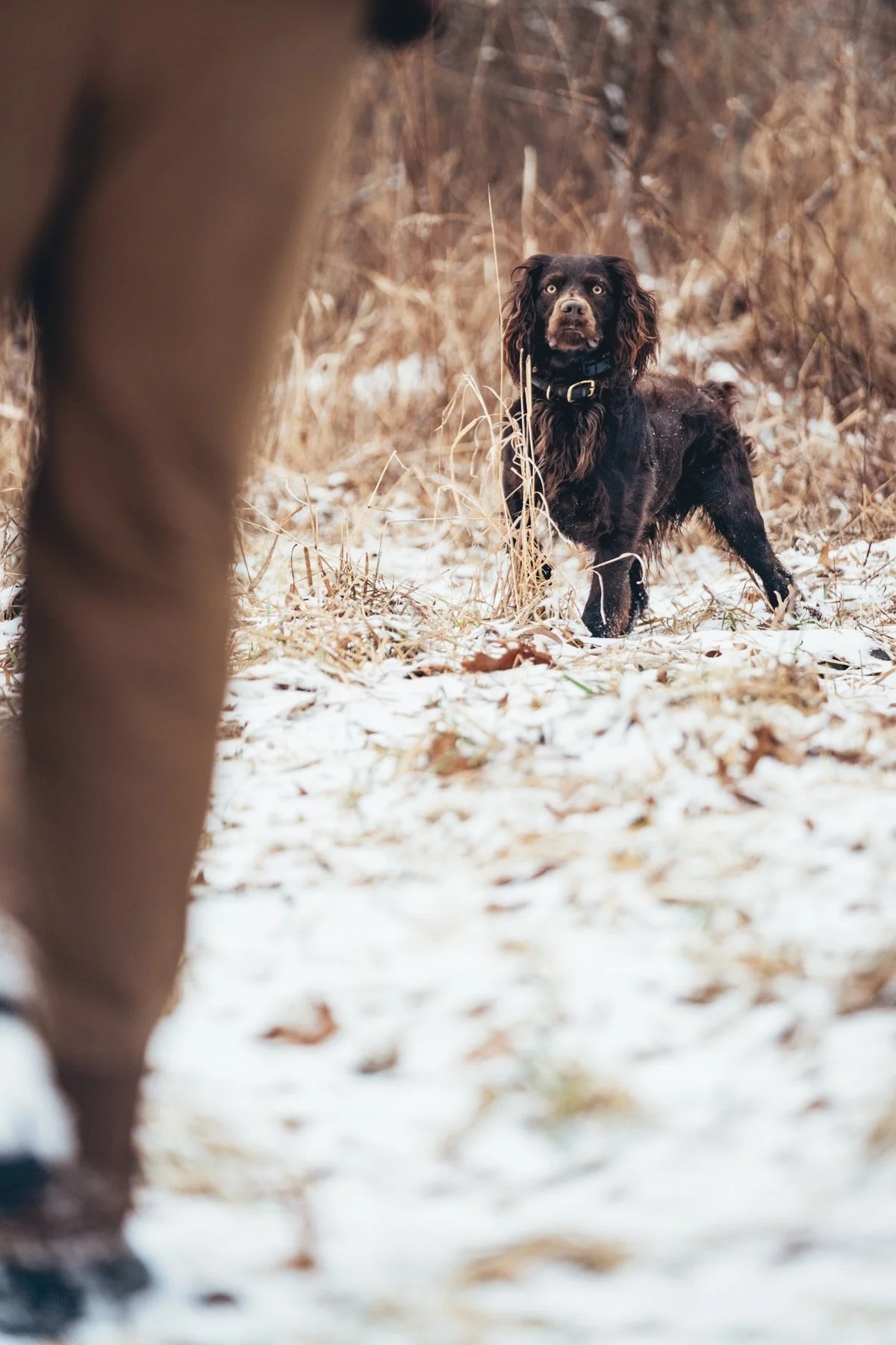 Pfeifer Proofs-14.jpg