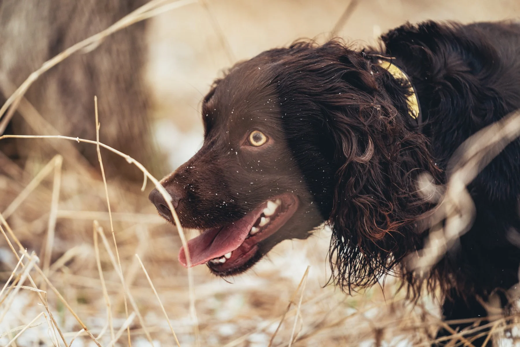 Pfeifer Proofs-32.jpg