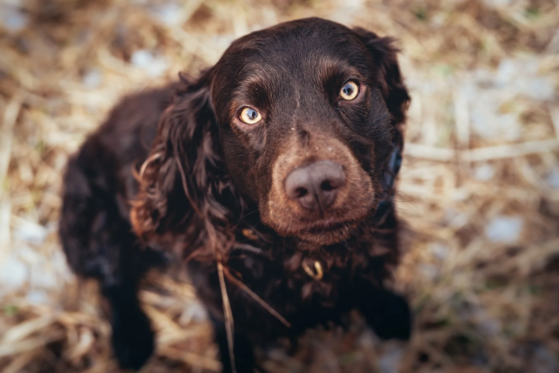 Pfeifer Proofs-51.jpg