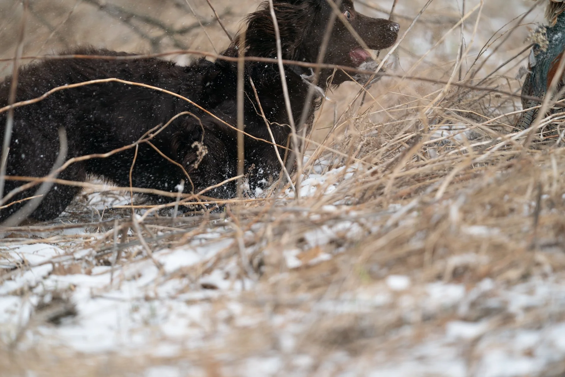 Pfeifer Proofs-24.jpg