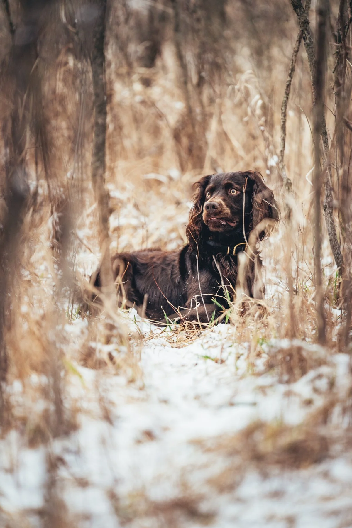 Pfeifer Proofs-11.jpg