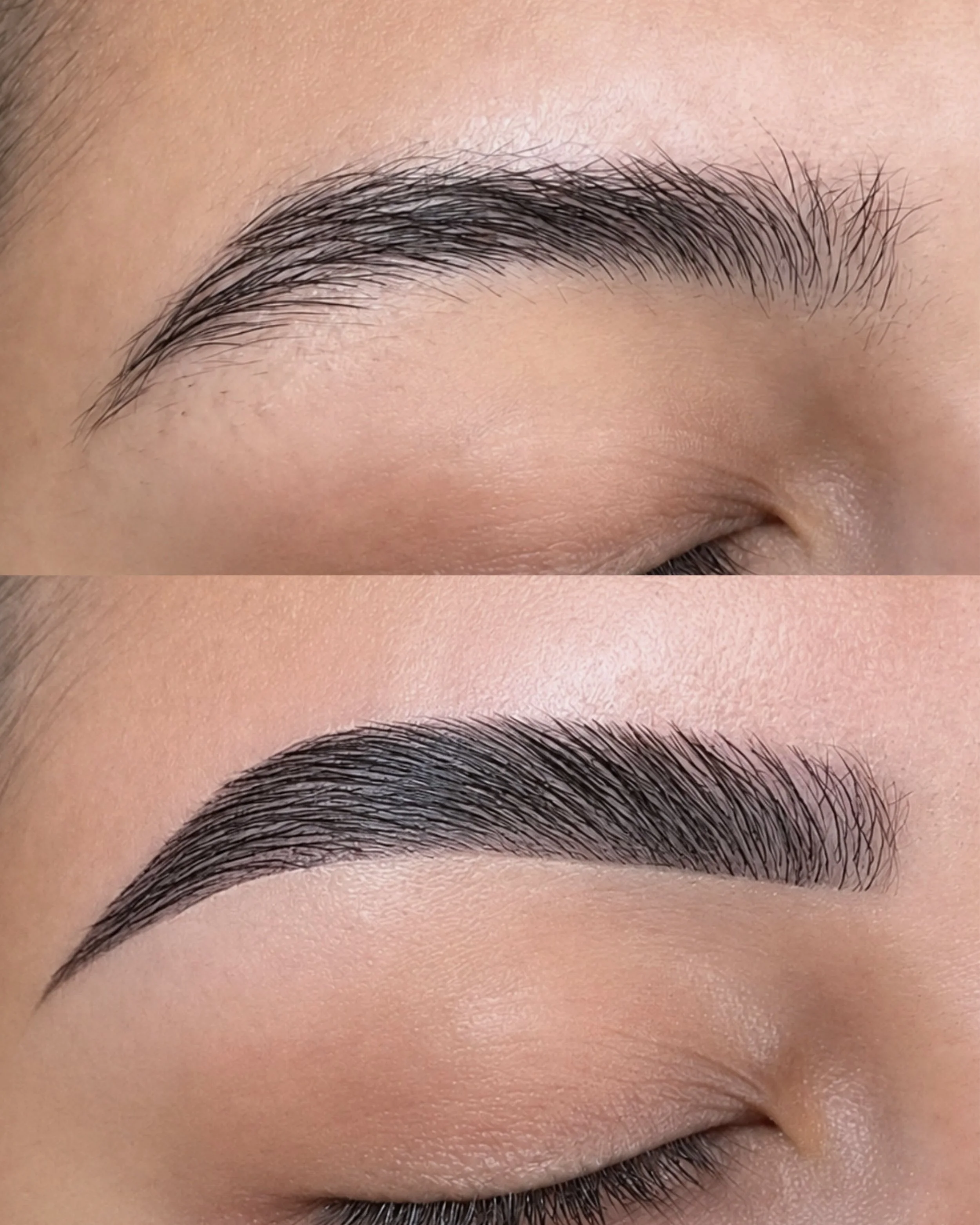 Brow lamination and Henna Tint with fuller defined brows at Thao SD Brow & Lash in San Diego