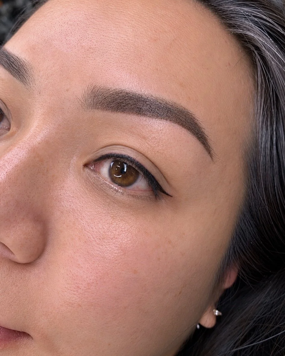 Powder and ombre brows in San Diego by Thao SD Brow & Lash
