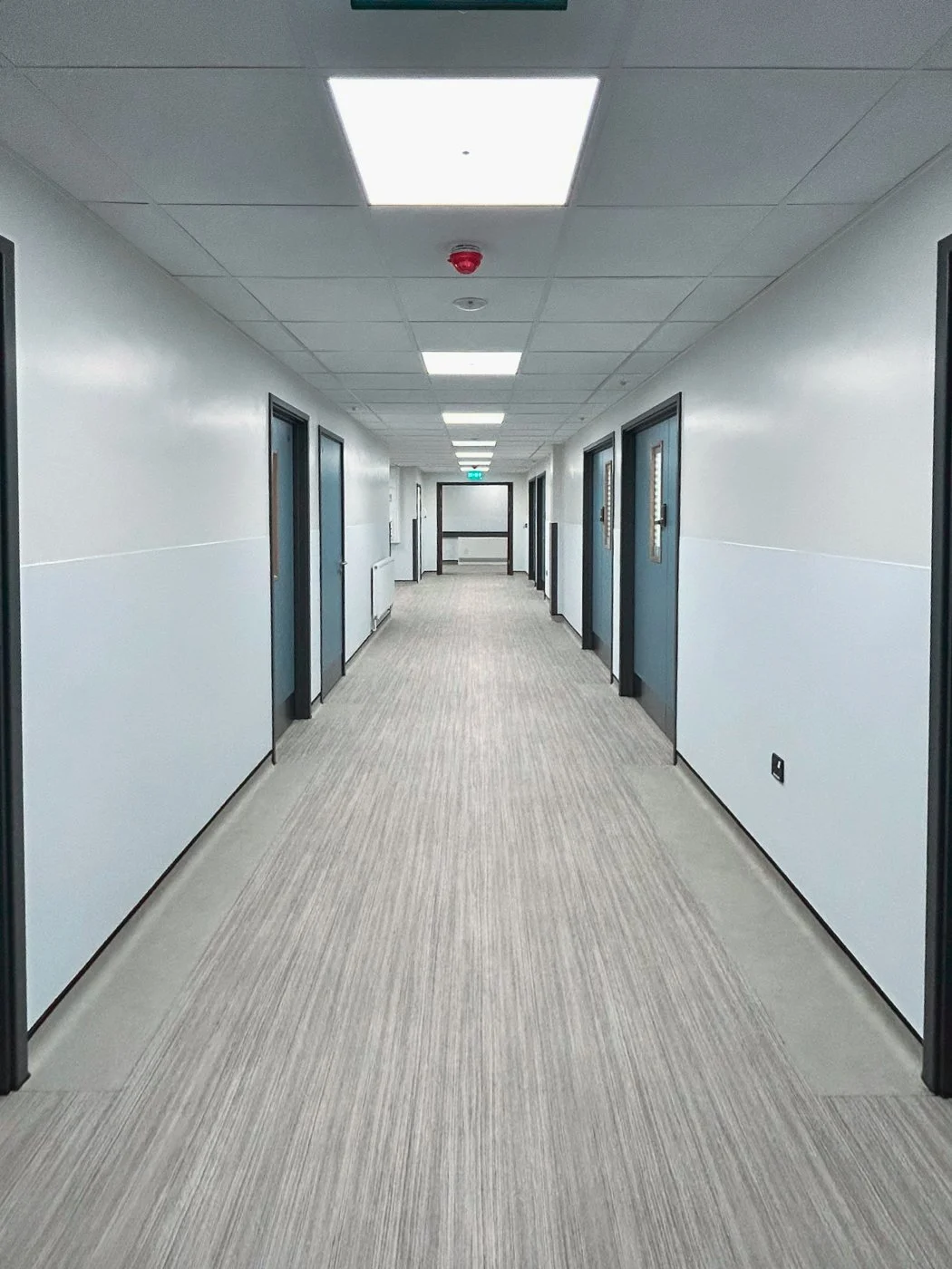 Hygienic wall protection installed in a school corridor