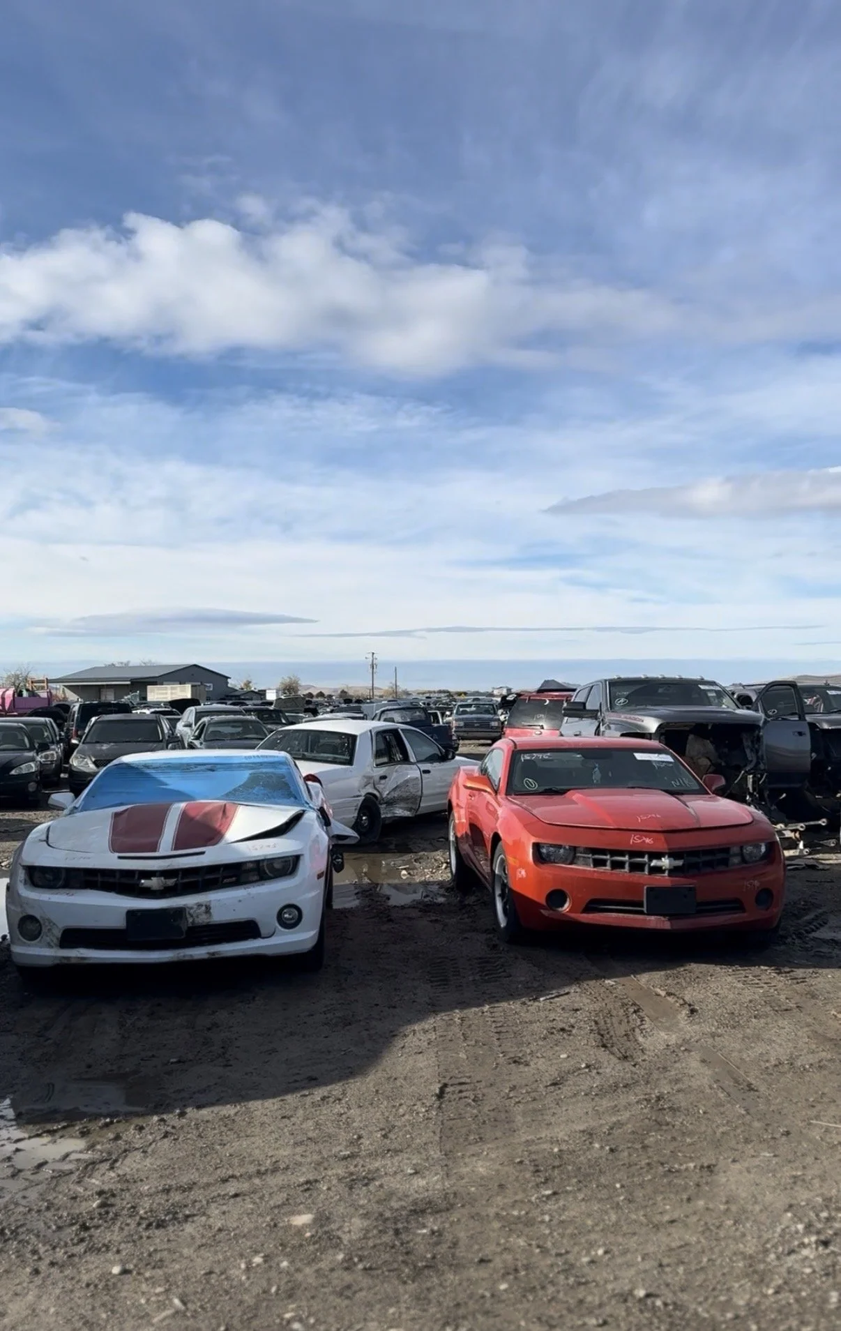 Used Chevy Camaro Auto Parts