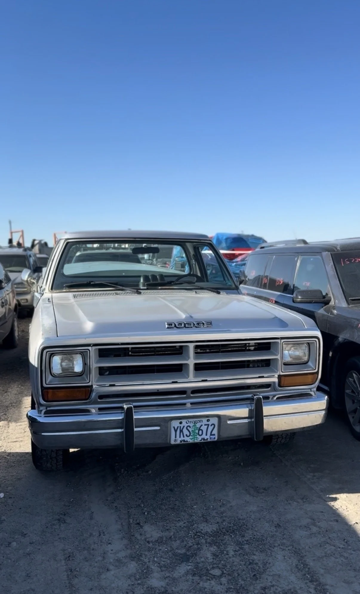 DODGE TRUCK 100