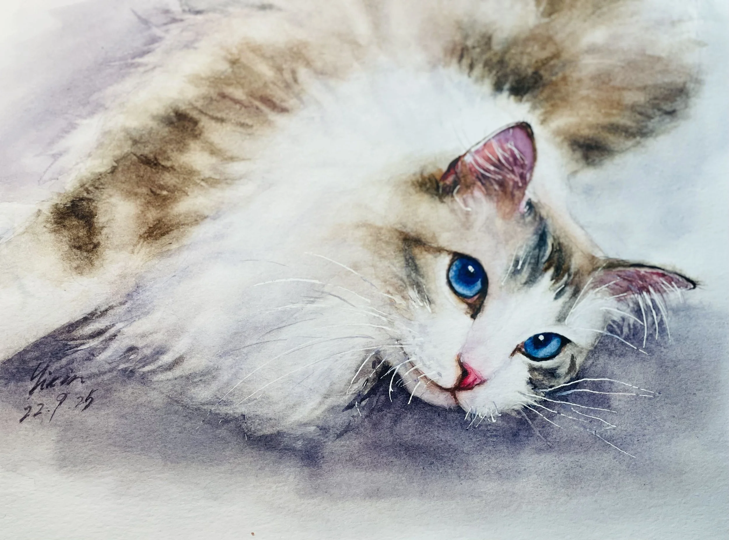 Custom watercolor portrait of a blue-eyed cat lying down and looking toward the viewer