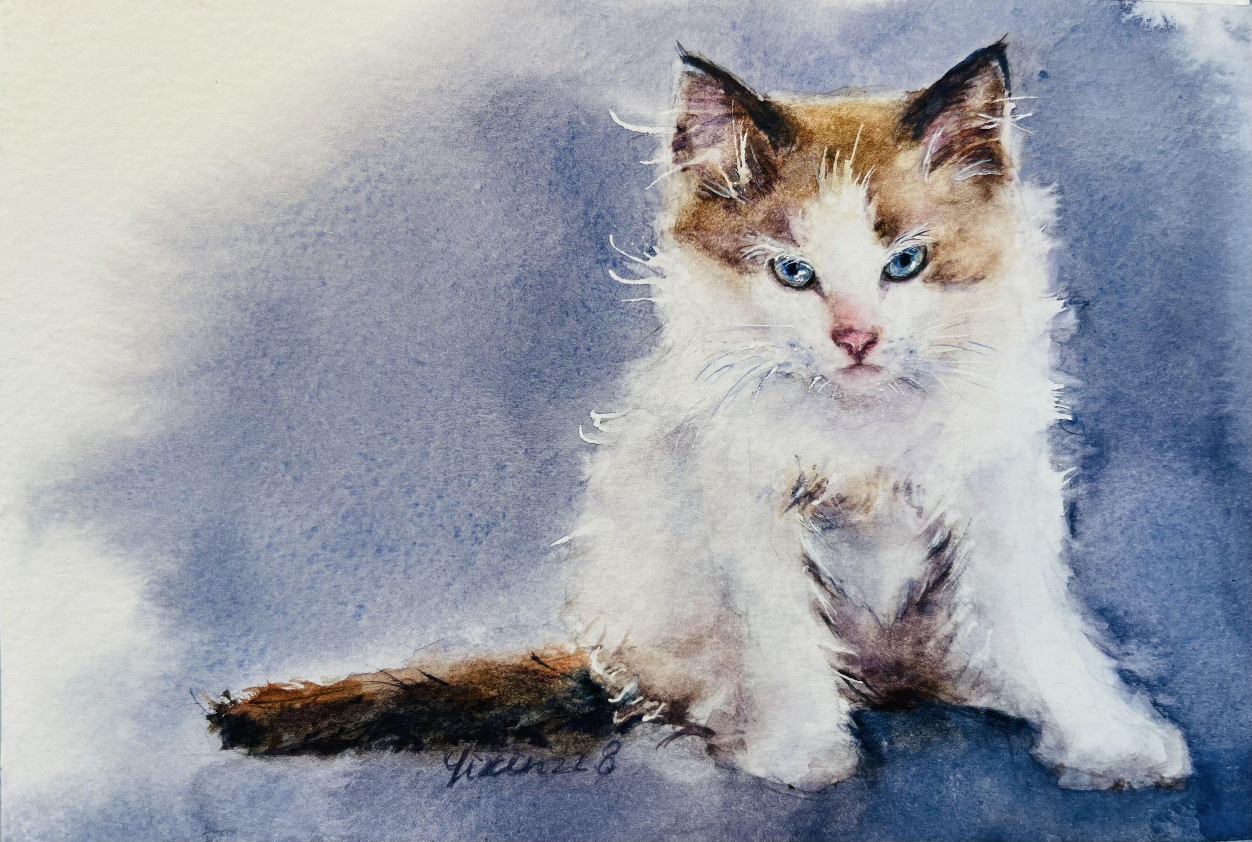 Custom watercolor portrait of a blue-eyed cat lying down and looking toward the viewer