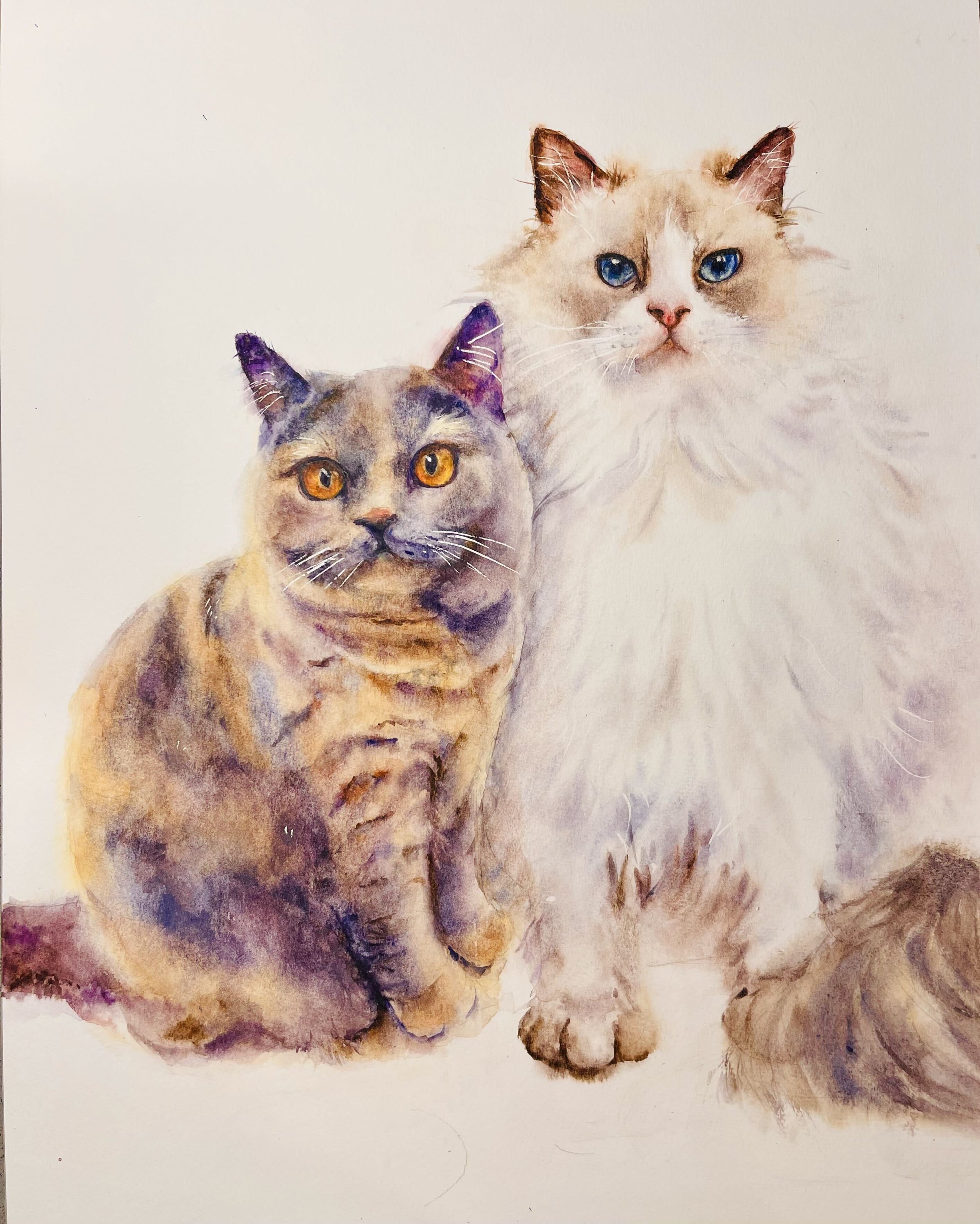 Custom watercolor portrait of two cats sitting together