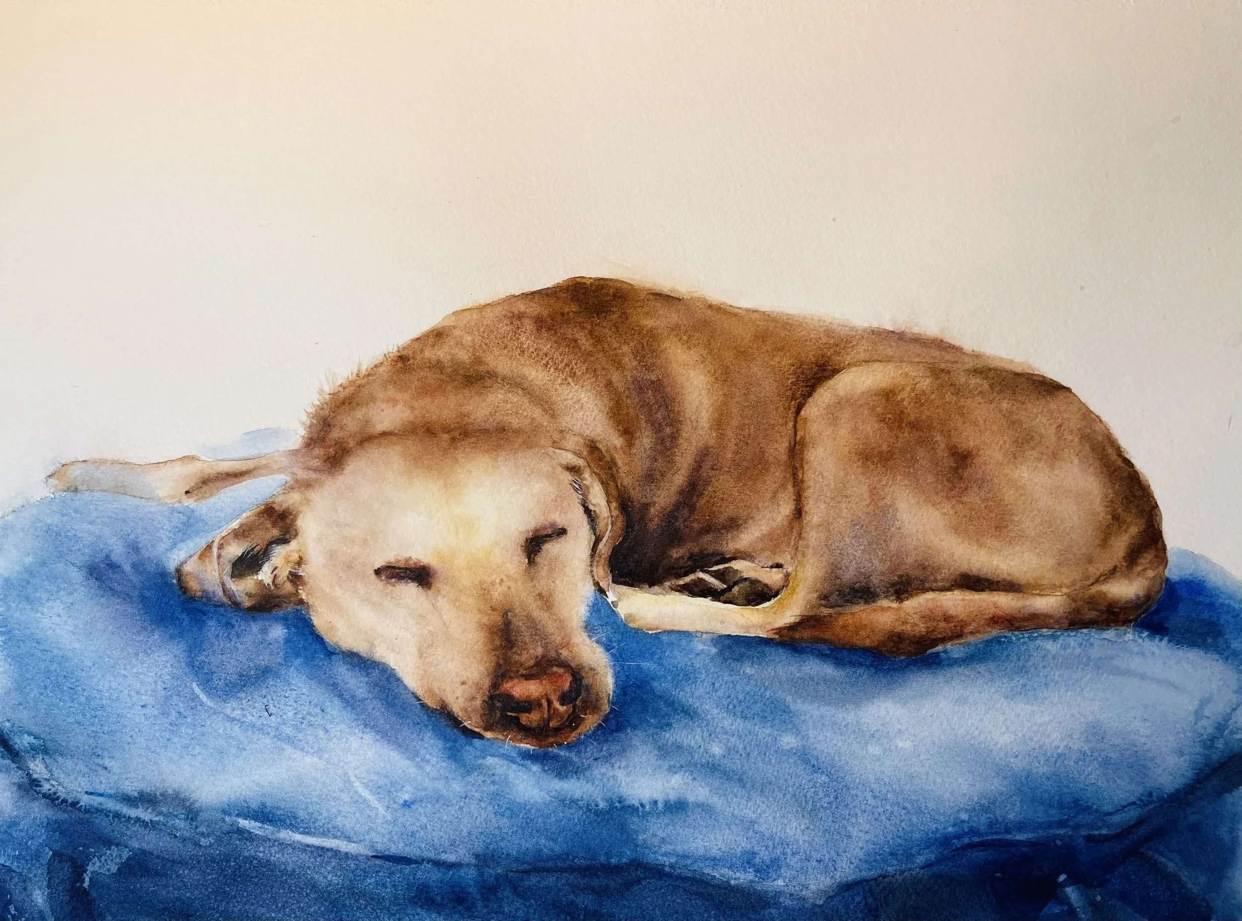 Custom watercolor painting of a sleeping dog resting on a blue blanket