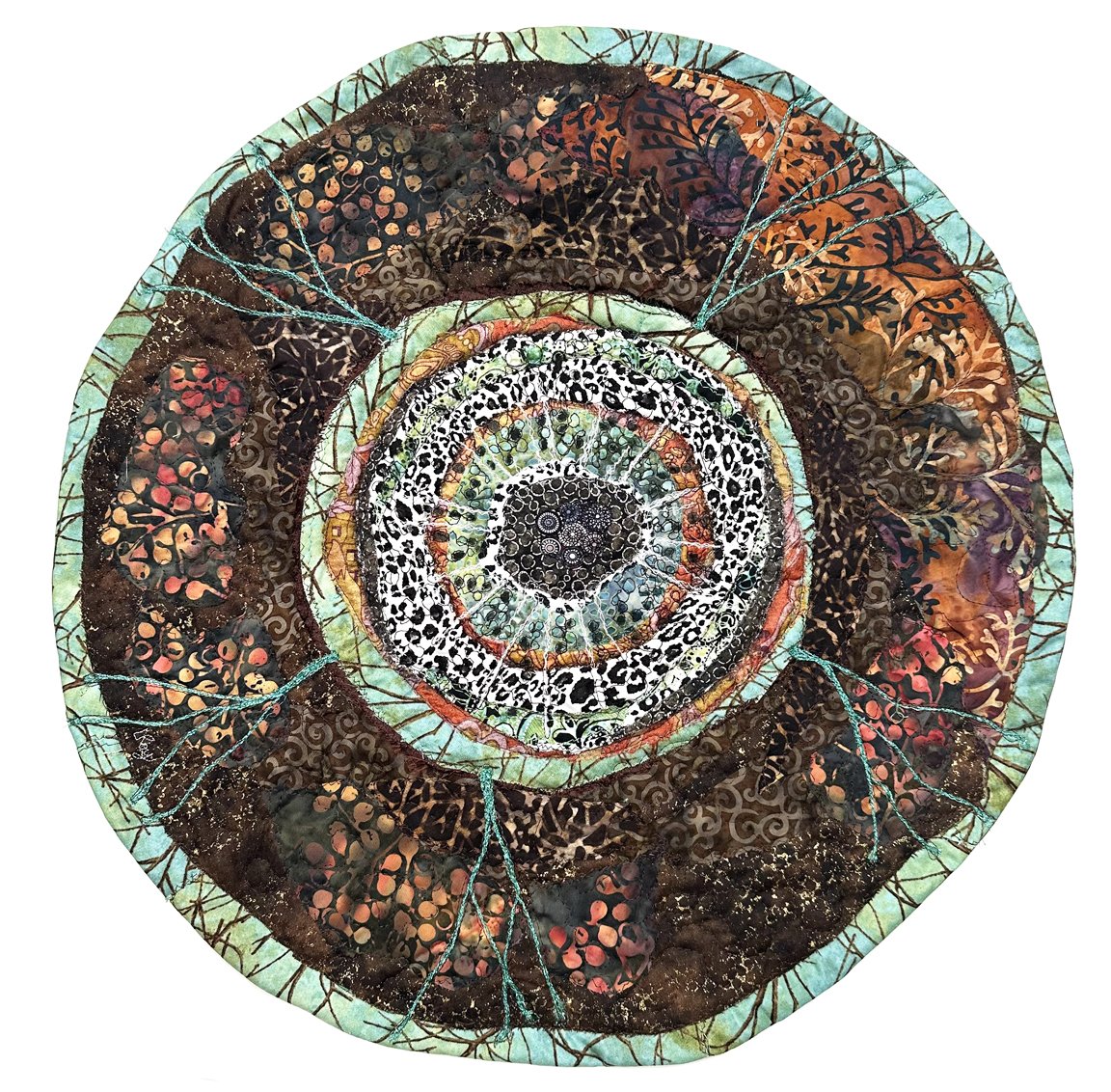 Maple Stem Cross Section
