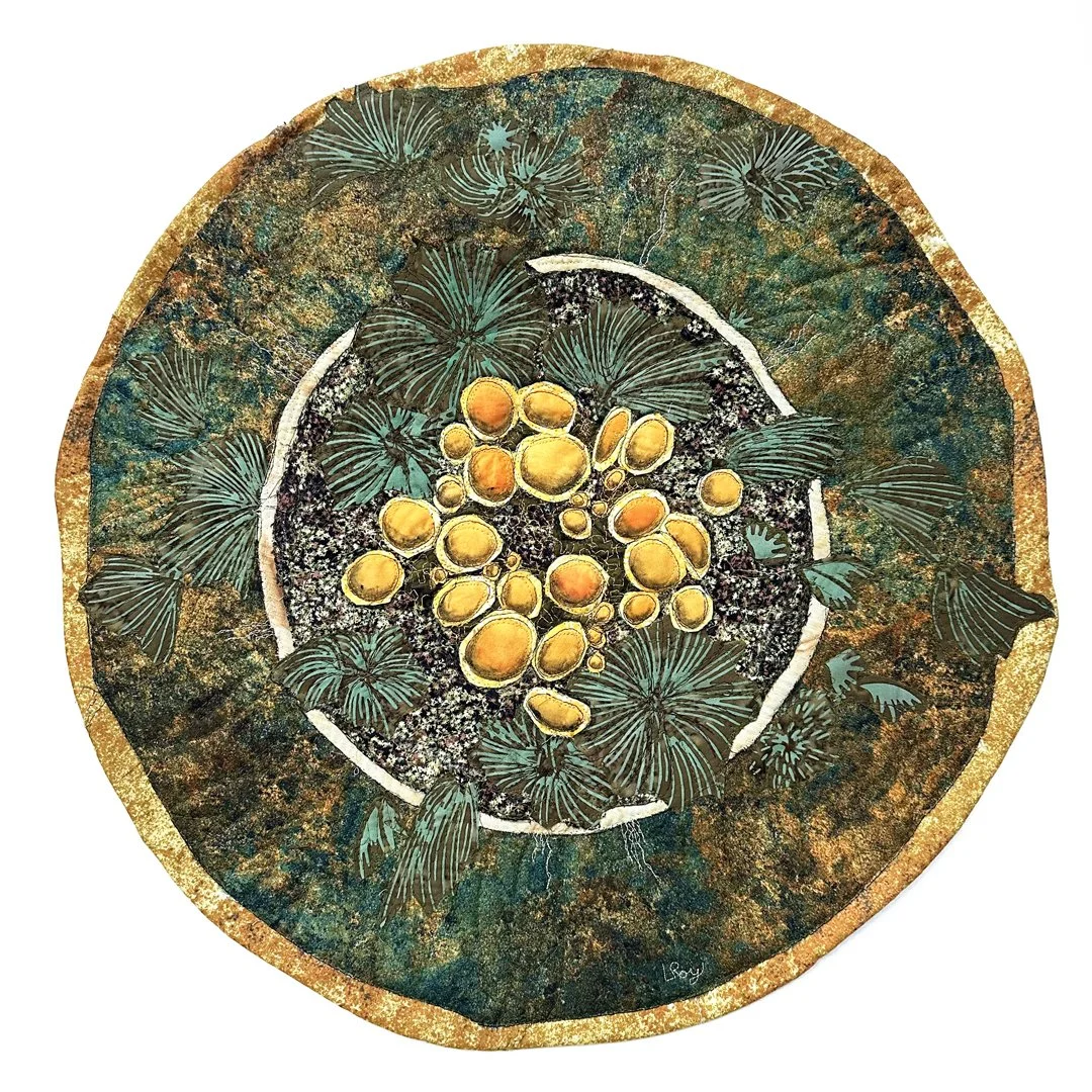 Poplar Sunburst Lichen