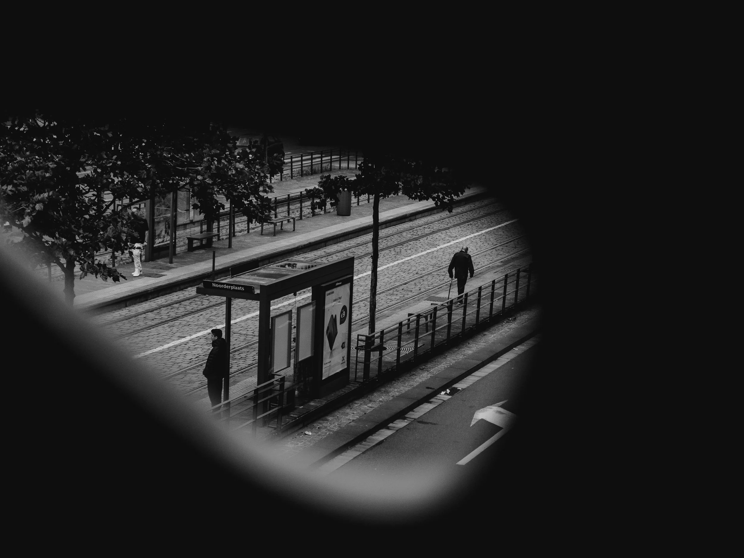 L1012993.jpg