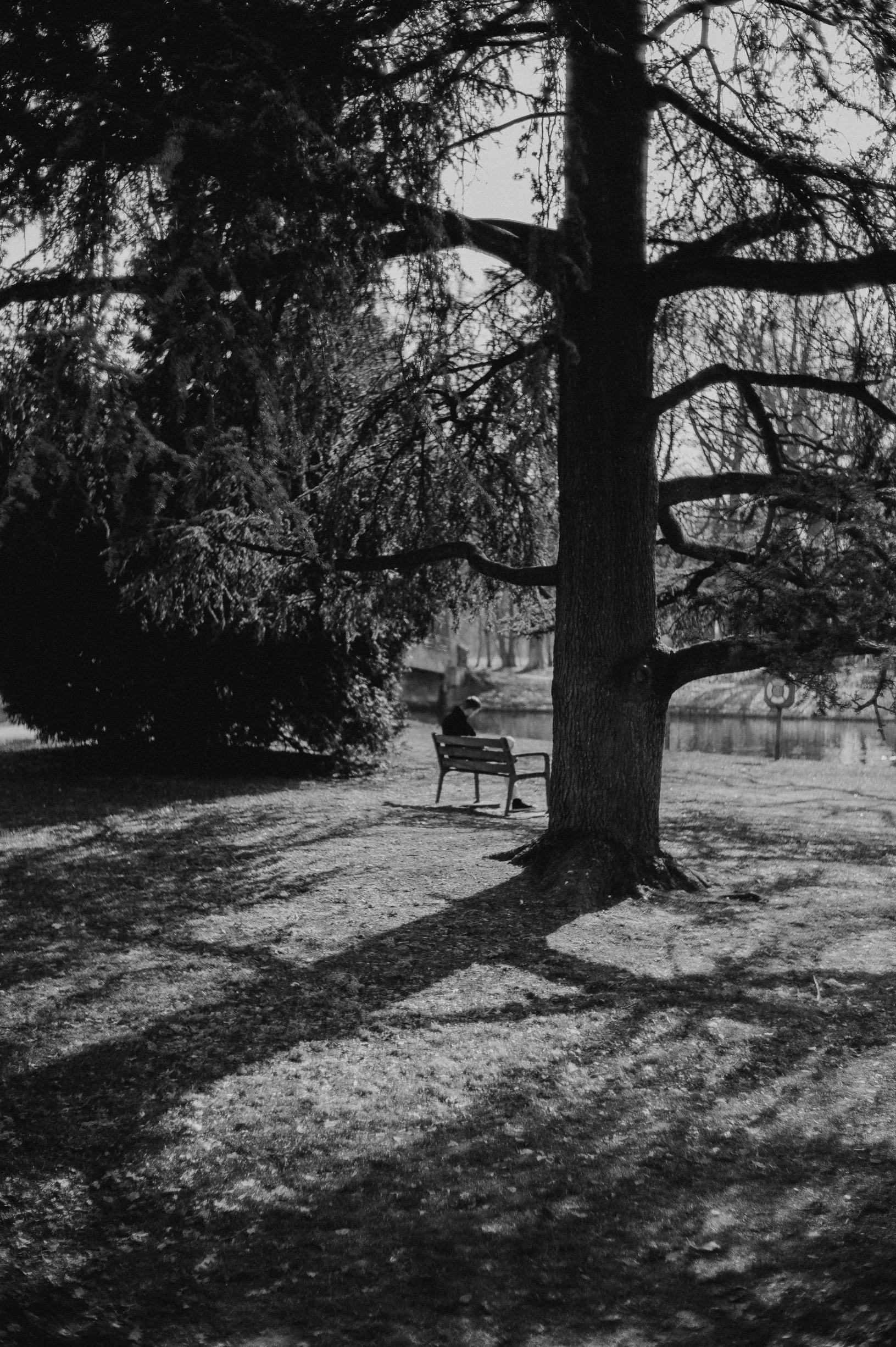 L1061956.jpg