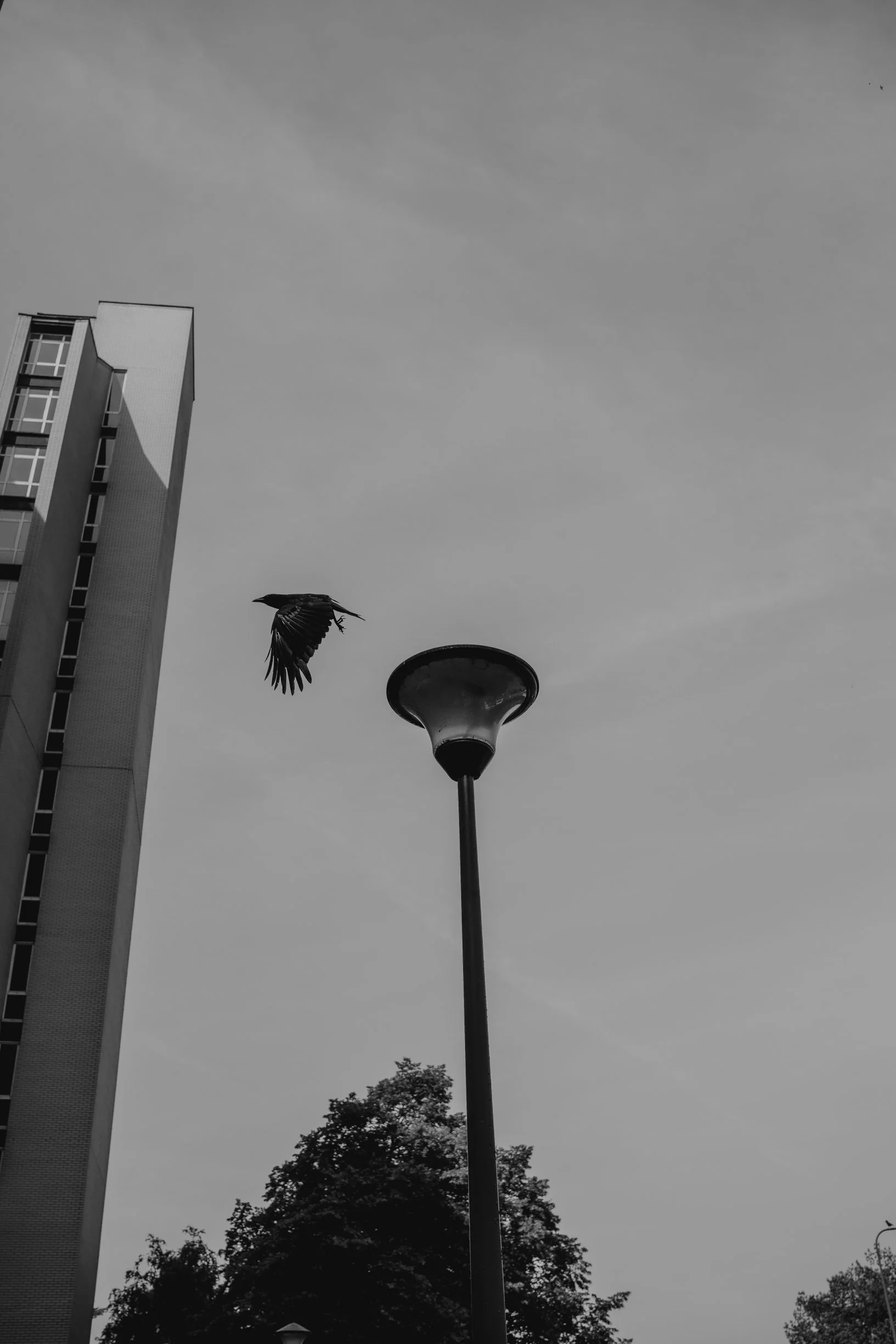 DSC04337.jpg
