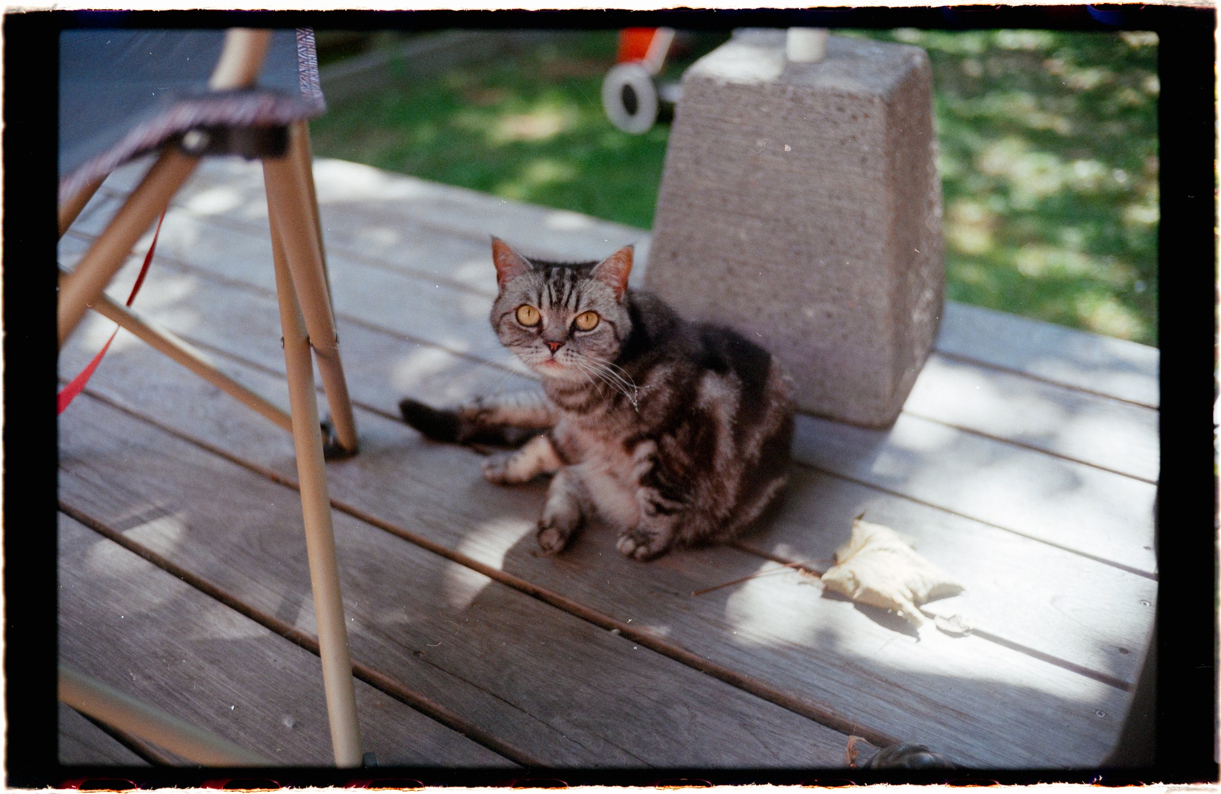 IMG_0003.jpg