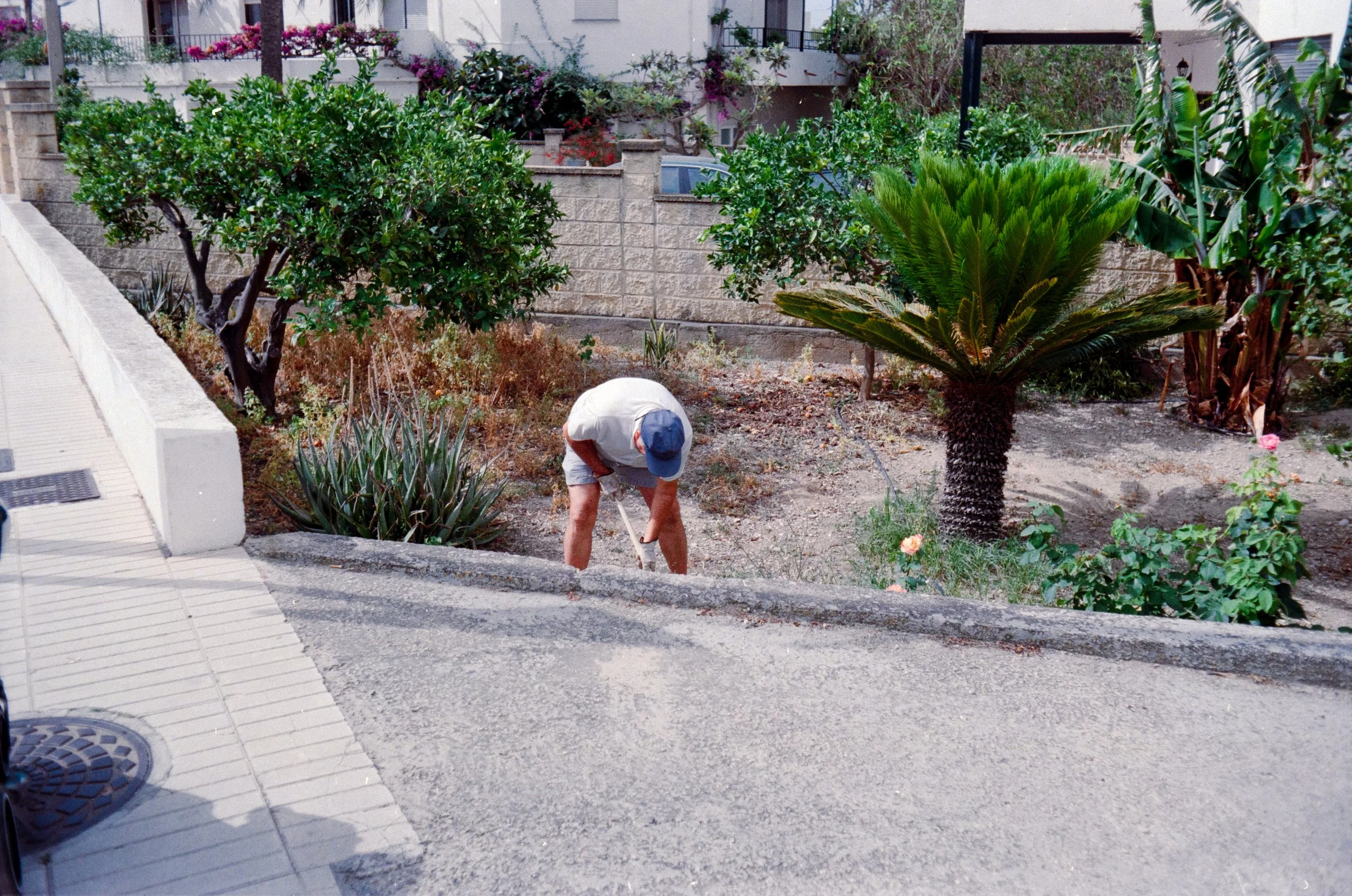 IMG_0184.jpg