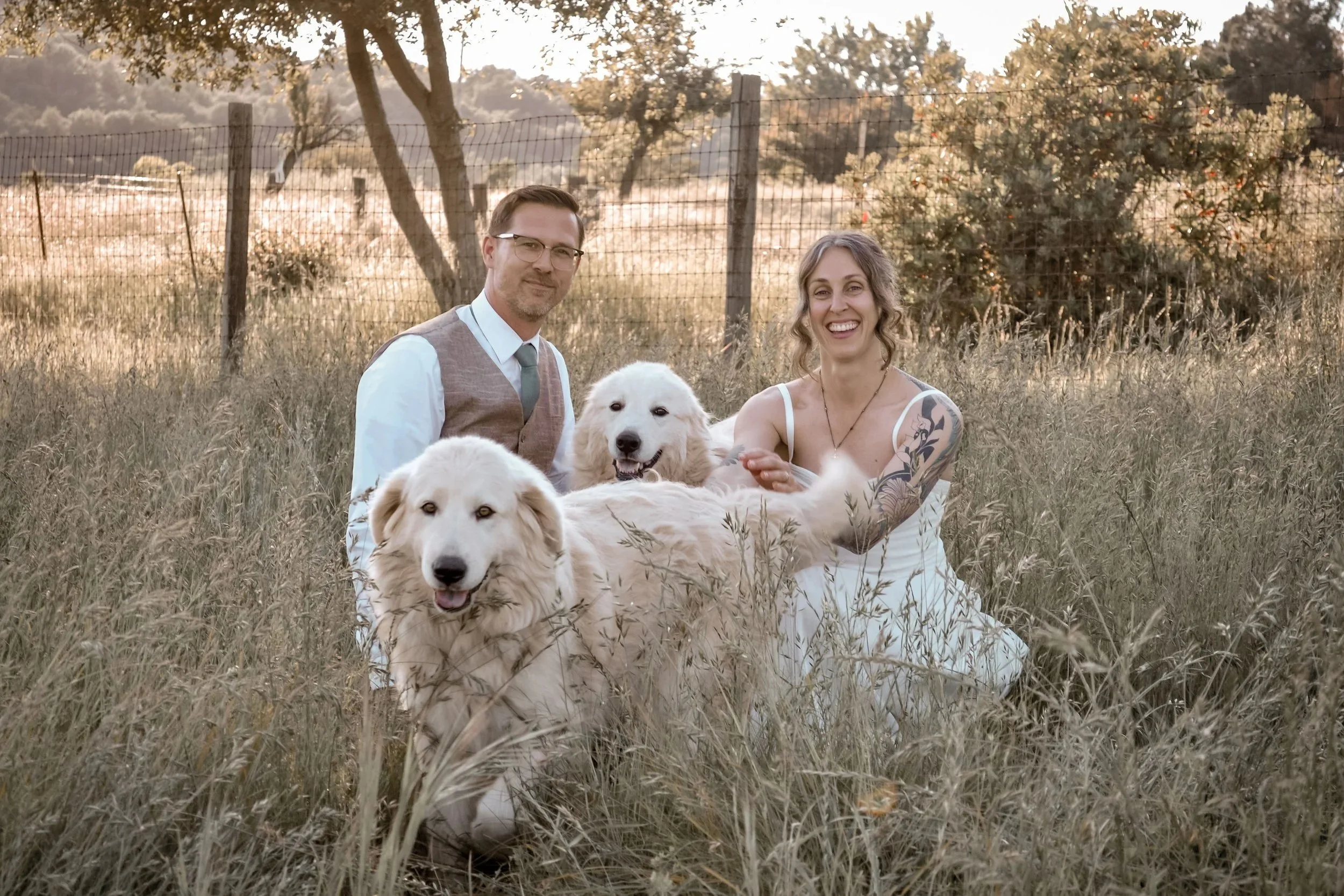 A man and woman sitting in tall grass with three golden retrievers outdoors during sunset, foliage and trees in the background.