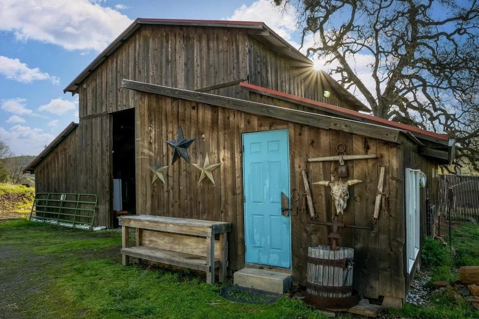 A rustic wooden barn with a blue door, decorated with star ornaments and a cow skull, under a partly cloudy sky with the sun shining through a large tree in the background.