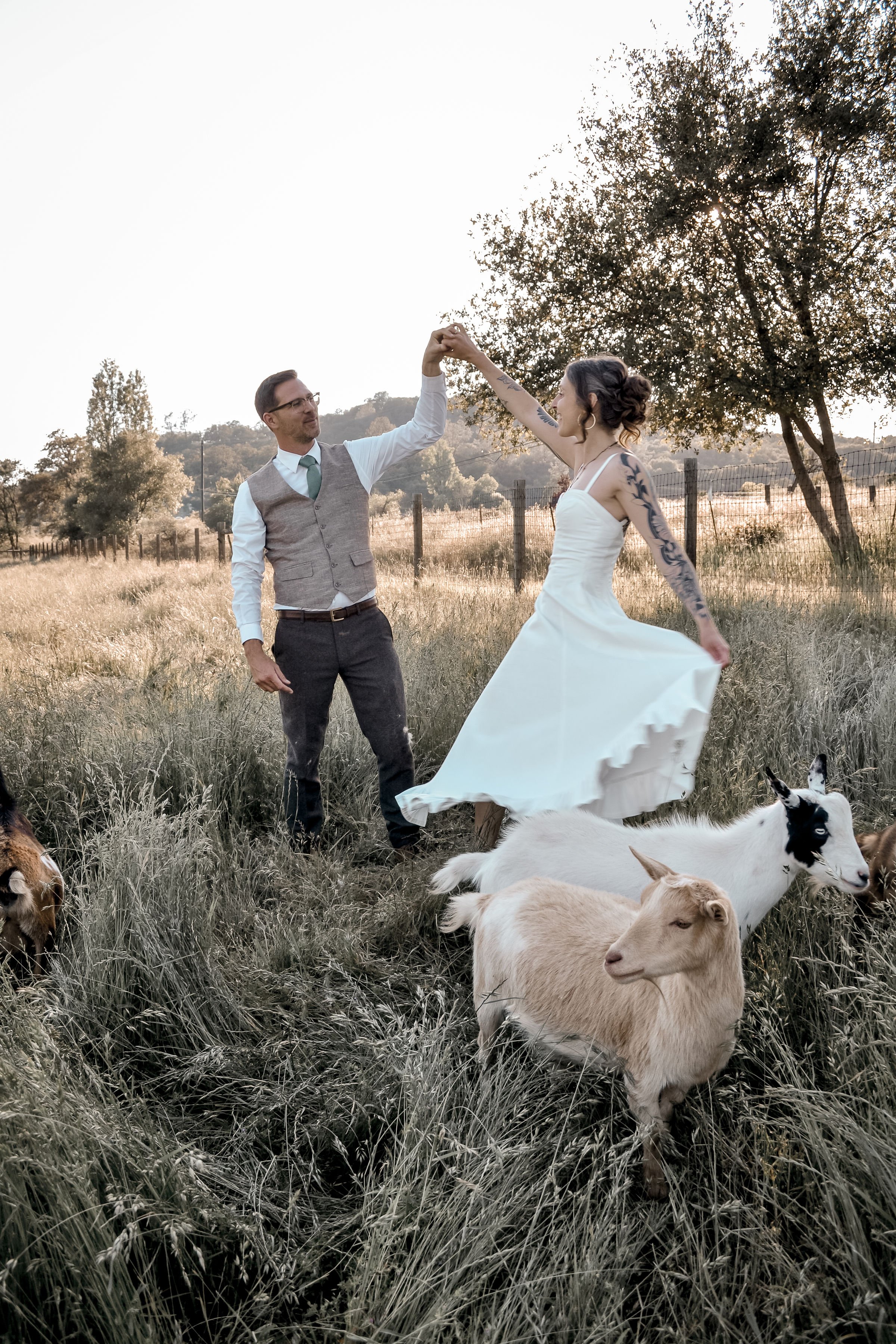 A couple dancing outdoors in a field with goats and sheep, holding hands and smiling at each other during sunset.