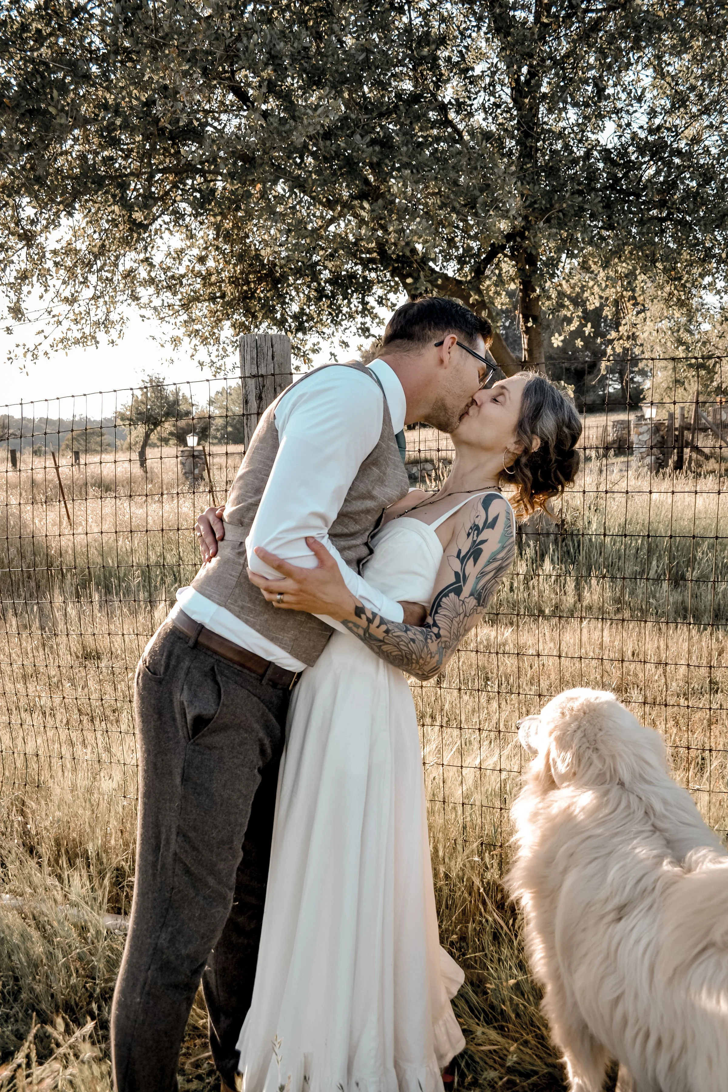 A couple sharing a kiss outdoors in a field with a large tree and a fence in the background. The woman has tattoos on her arms, and a dog is looking up at them.