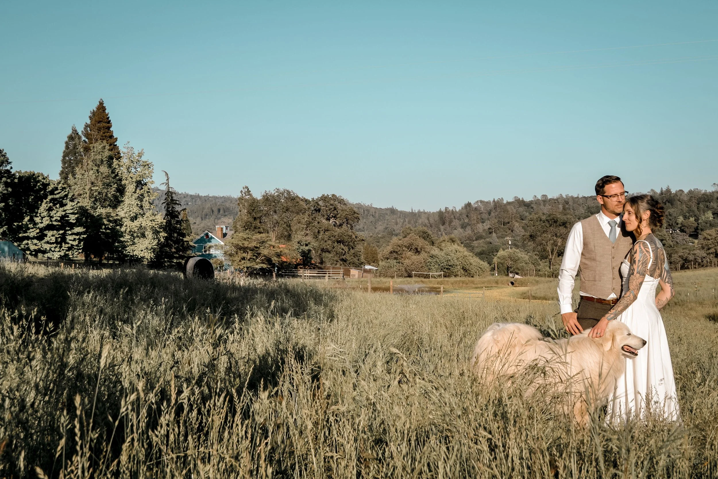 A couple standing outdoors in a grassy field, with the woman resting her hand on the man's chest. The woman is wearing a white dress and has tattoos on her arms, while the man is dressed in a vest and tie. A large white dog with a golden fur coat is 