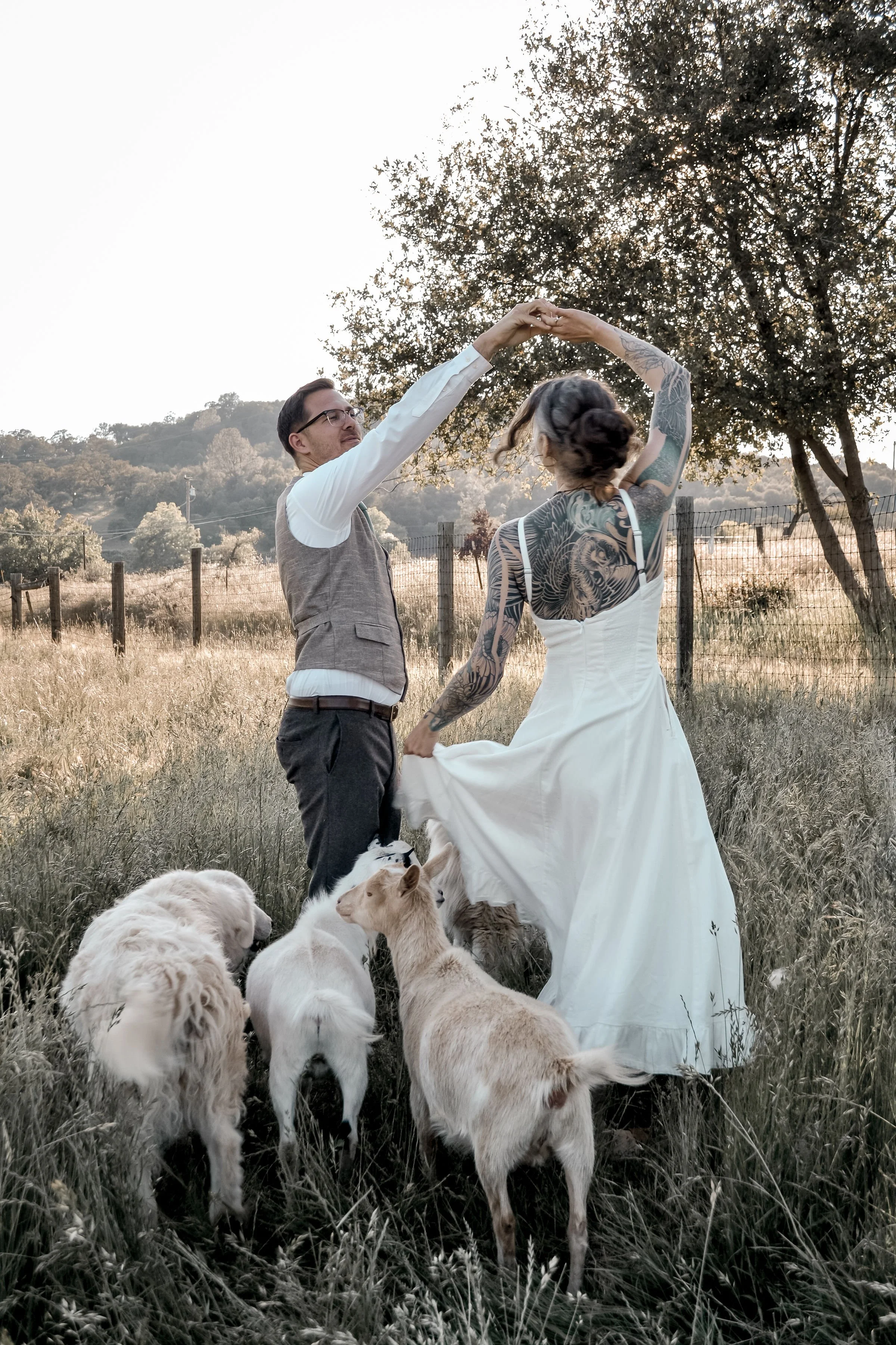 A couple dancing outdoors in a field with a dog at their feet and several puppies nearby. The man is wearing glasses, a vest over a white shirt, and dark pants, while the woman has tattoos and is wearing a white dress. Trees and hills are in the back