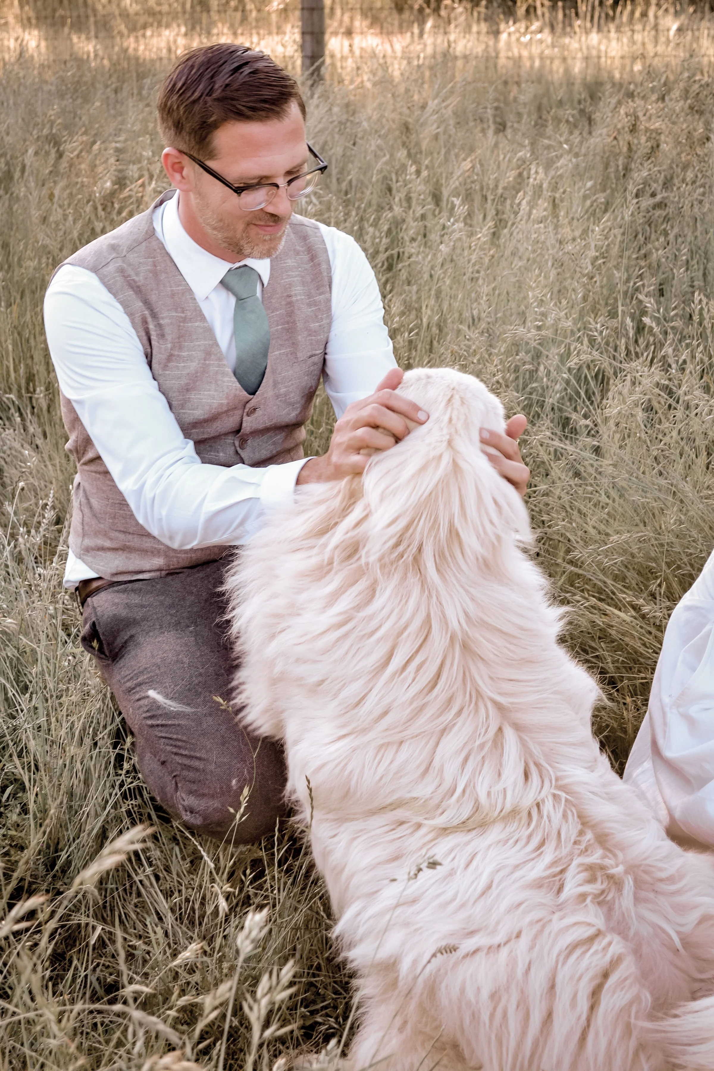 A man with glasses, a white shirt, and a gray vest kneeling in a grassy field, petting a large golden retriever dog.