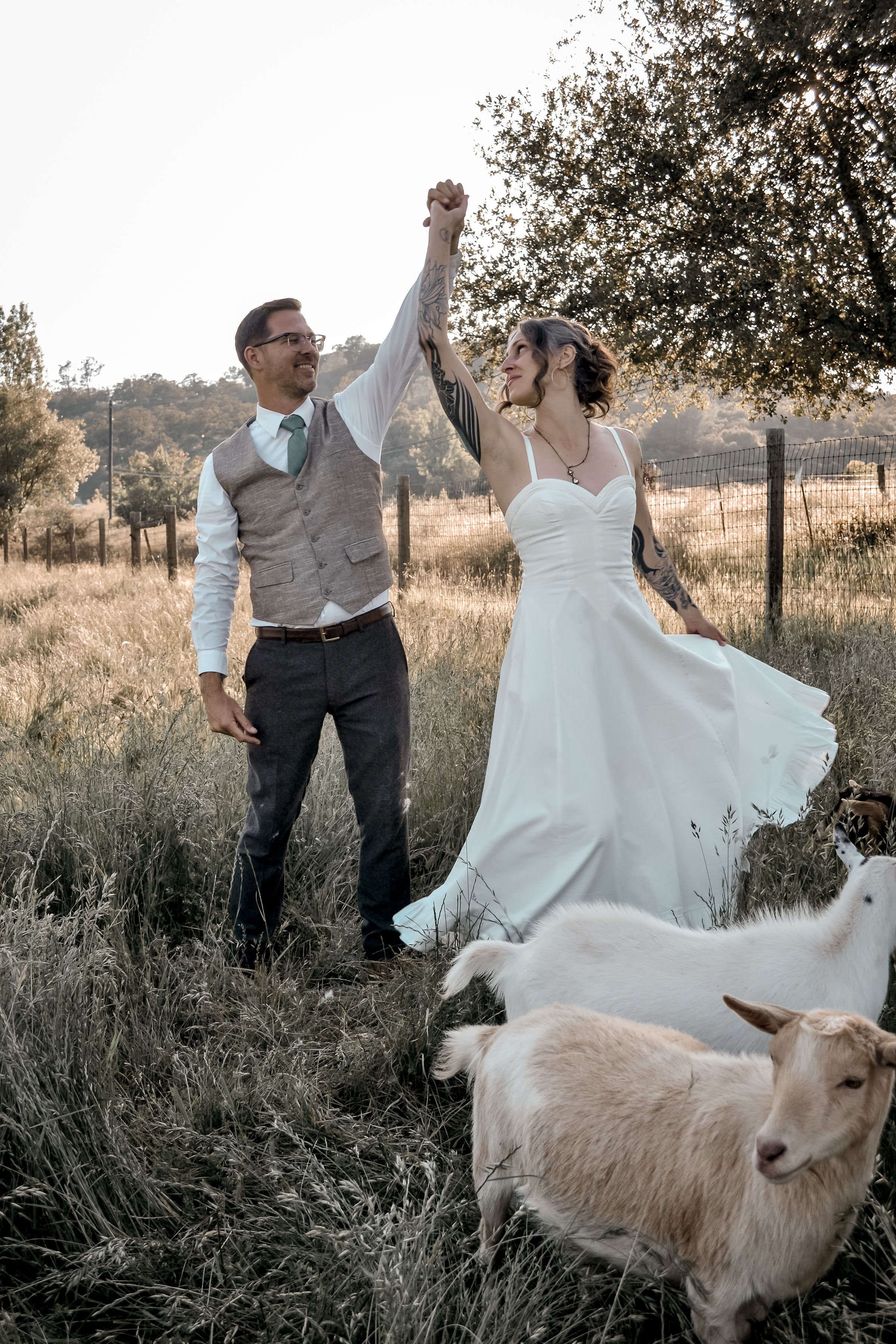 A couple, with the man wearing glasses and a vest and the woman in a white wedding dress, stands in a grassy field holding hands and raising them in celebration, surrounded by goats and sheep, with trees and a fence in the background during sunset.