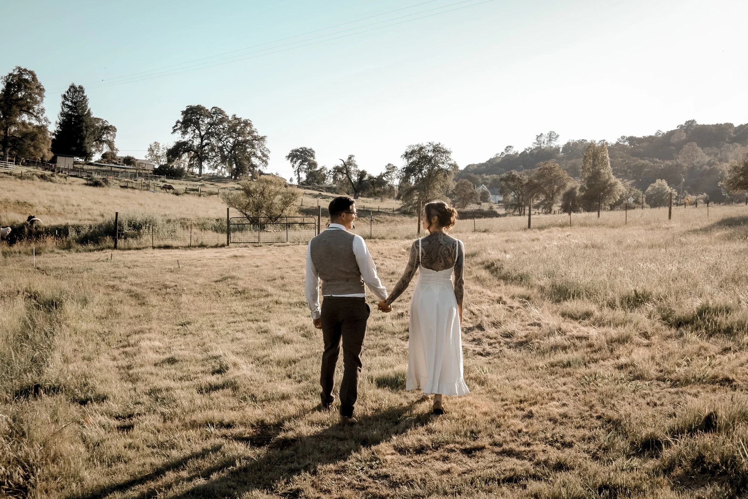 A couple, a man and a woman, holding hands and walking through a grassy field, with trees and hills in the background, during late afternoon or early evening.