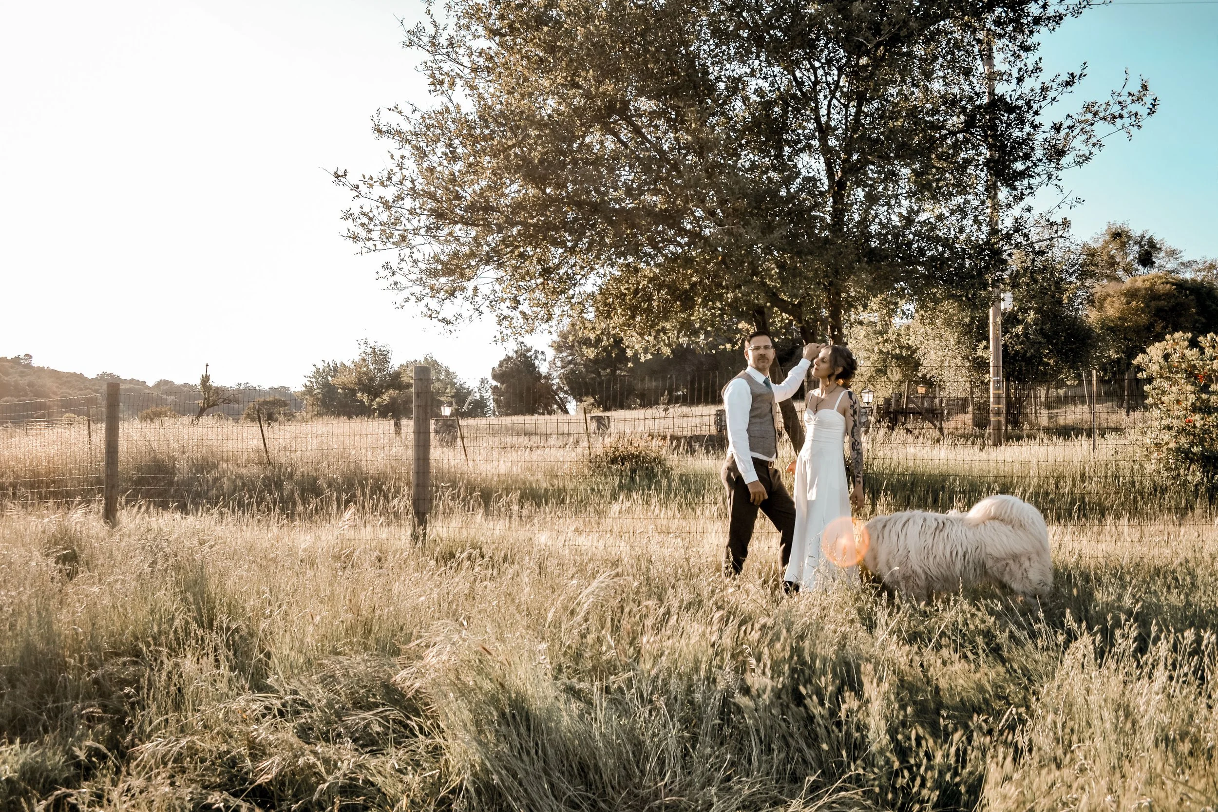 A couple dressed in wedding attire standing in a grassy field with a large tree behind them, featuring a man with glasses in a vest and tie, and a woman in a white dress with floral tattoos on her arm. A white dog is partially visible in the foregrou