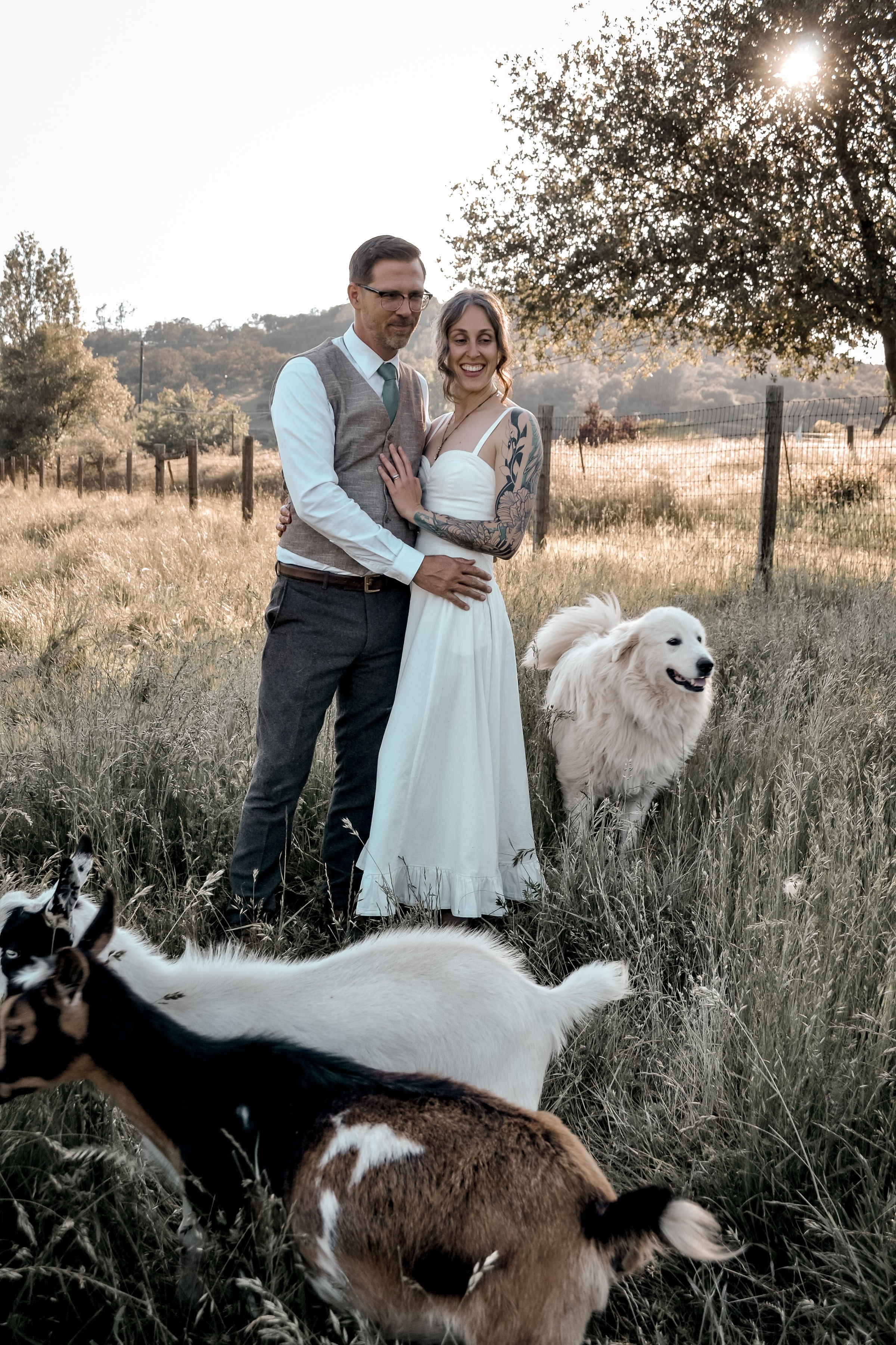 A smiling woman with tattoos on her left arm and a man in glasses, standing outdoors in a grassy field at sunset, accompanied by several dogs including a white fluffy dog and a black and white dog.